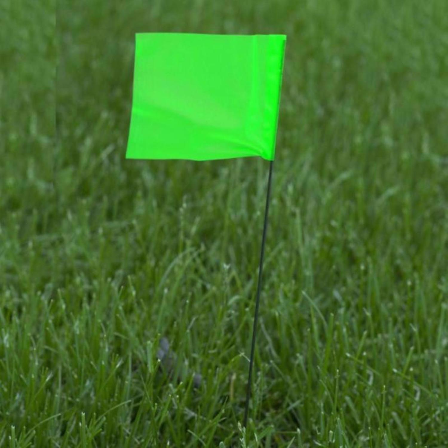 C.H. Hanson 21 in. Fluorescent Lime Marking Flags Polyvinyl 100 pk