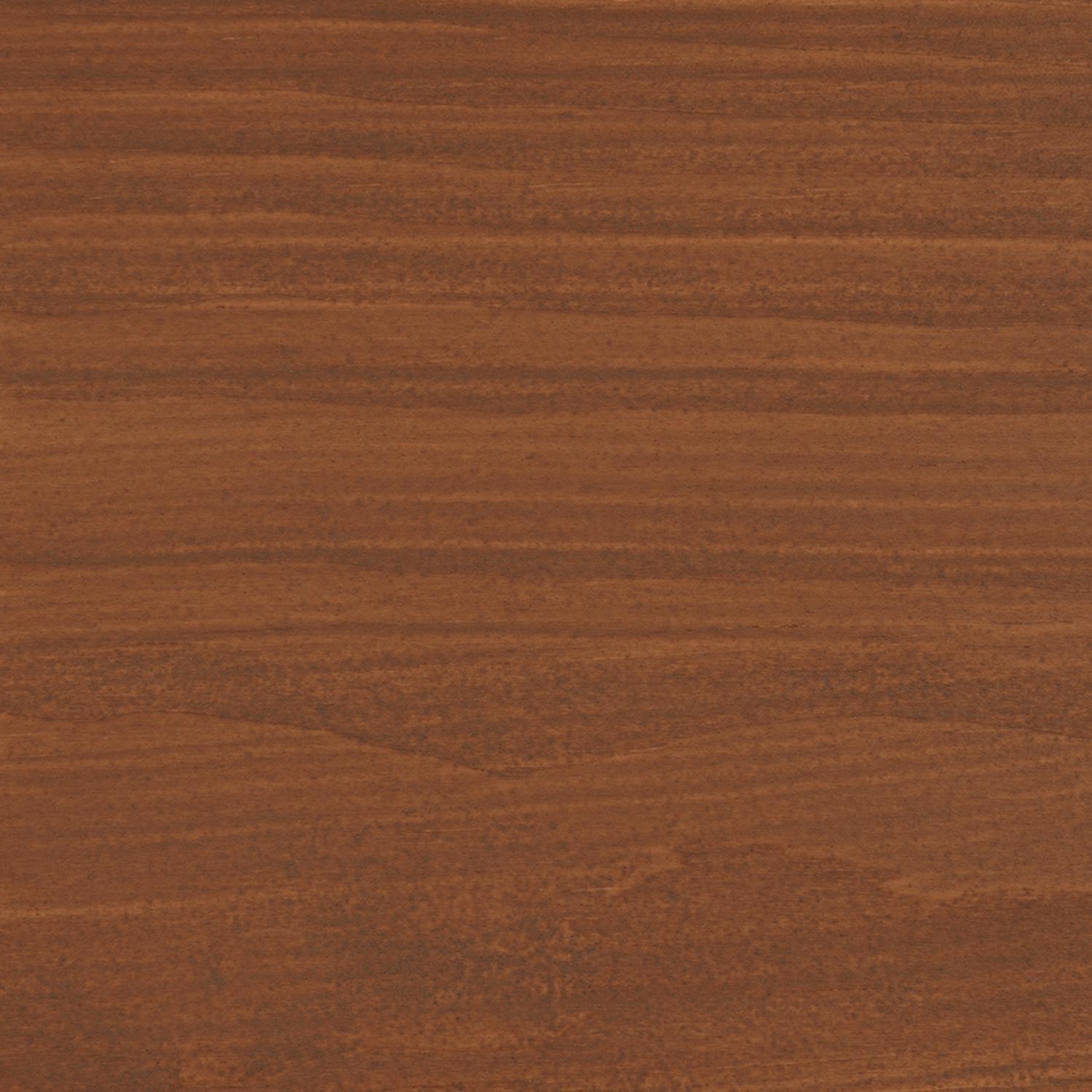 Thompson's WaterSeal Semi-Transparent Chestnut Brown Waterproofing Wood Stain and Sealer 1 gal