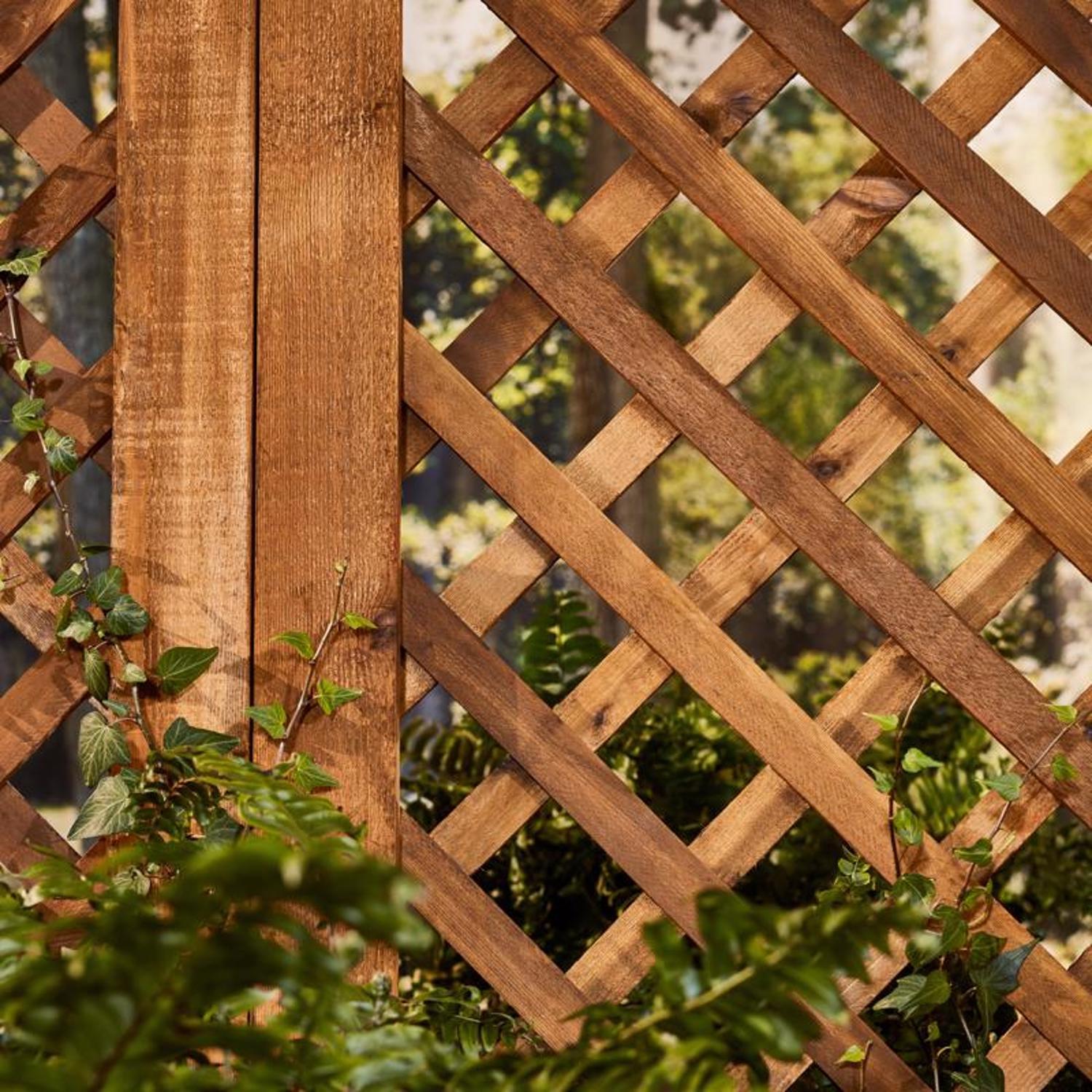 Cabot Australian Timber Oil Transparent Honey Teak Oil-Based Penetrating Oil Australian Timber Oil 1