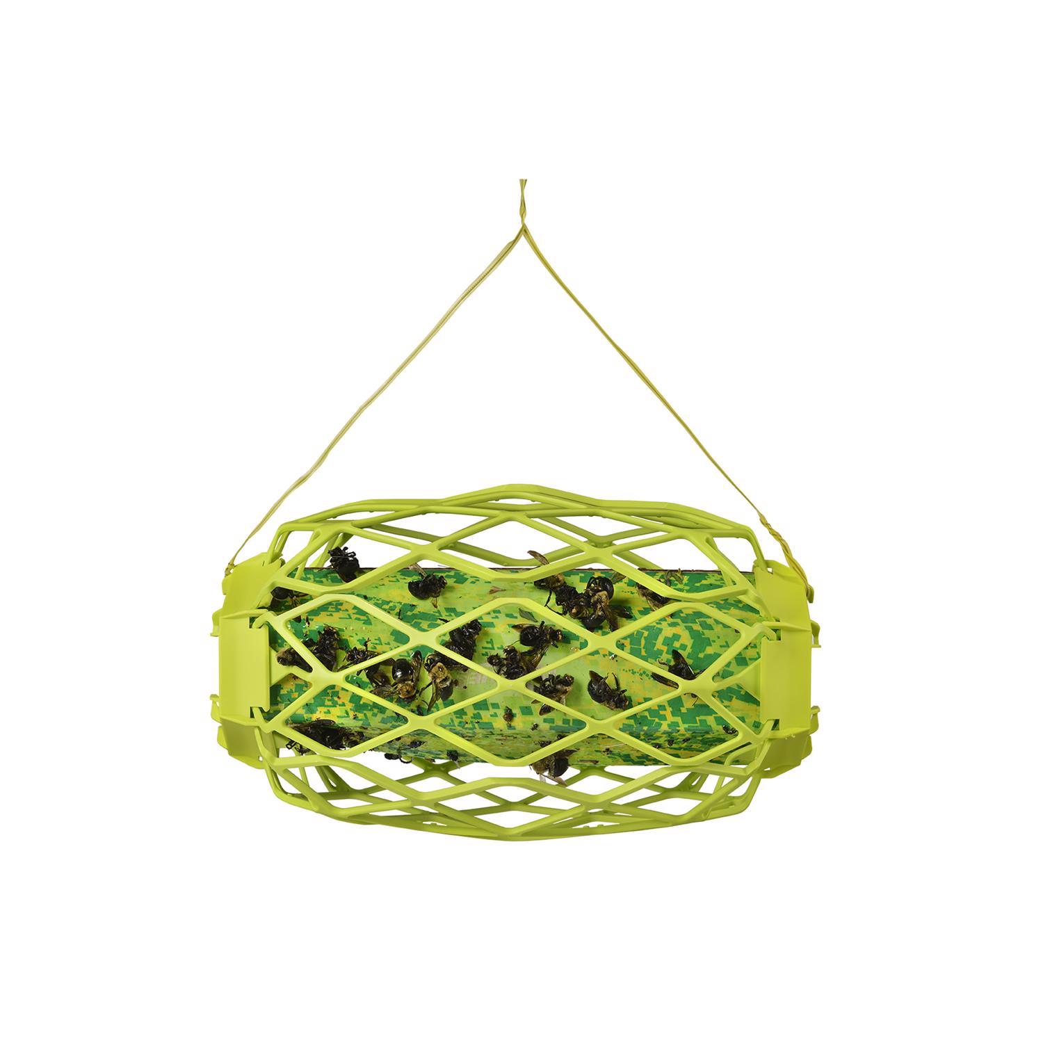RESCUE! TrapStik Insect Trap 1 pk