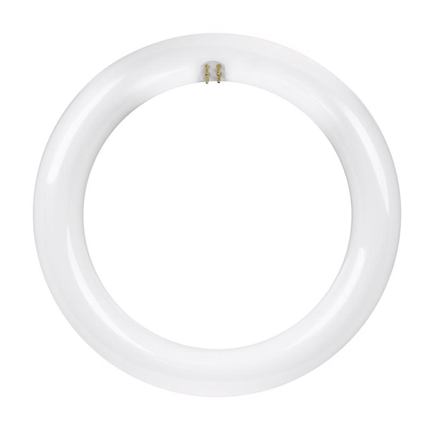 Feit Plug & Play T9 Cool White 8 in. G10Q Circular LED Bulb 22 Watt Equivalence 1 pk