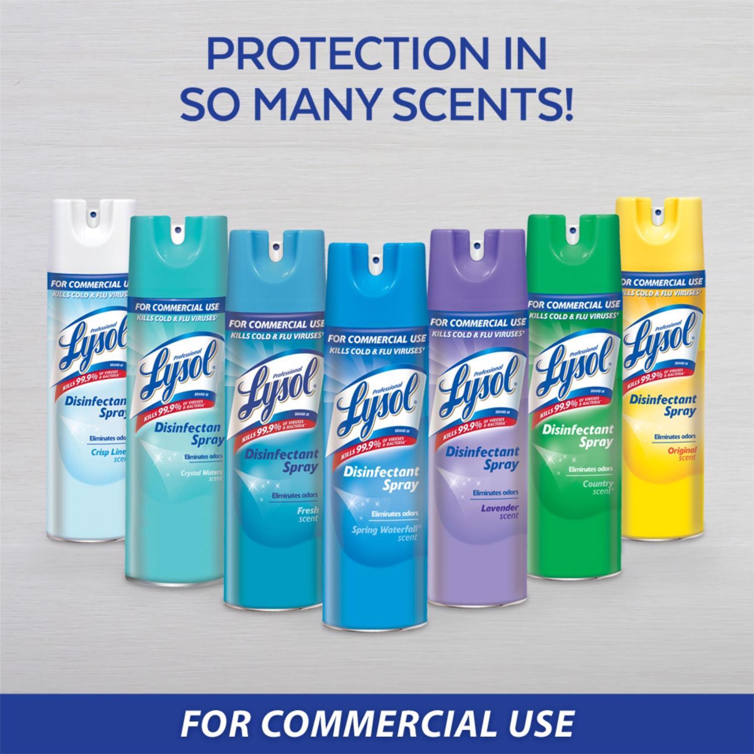 Lysol Professional Original Scent Disinfectant Spray 19 oz 1 pk