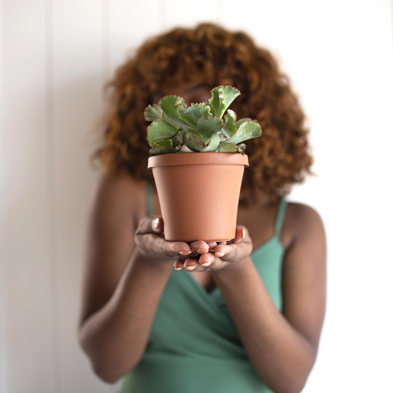 Bloem Terra 3.75 in. H X 4.25 in. W Resin Traditional Planter Terra Cotta