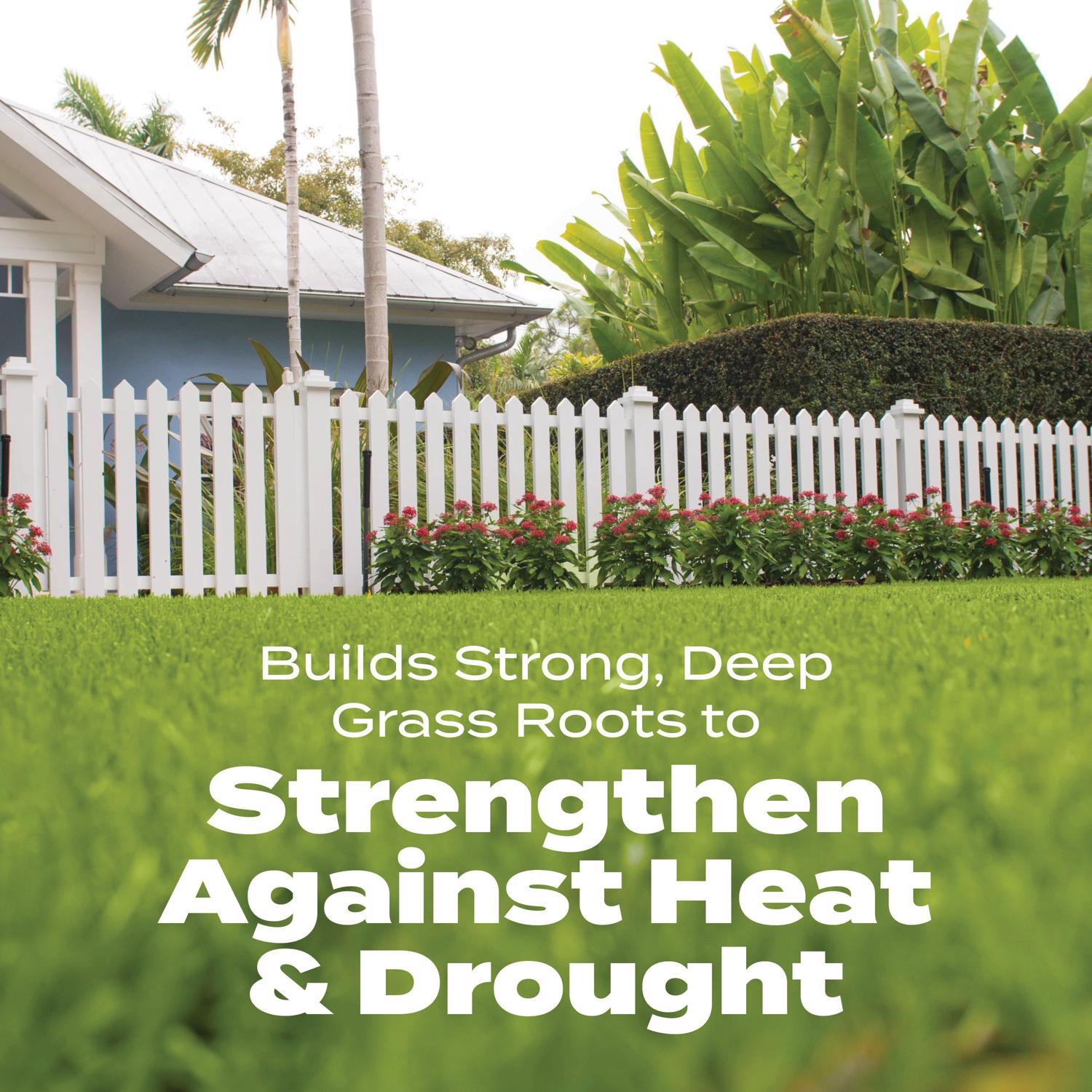 Scotts Turf Builder Bonus S Weed & Feed Southern Lawn Food For Multiple Grass Types 10000 Sq Ft