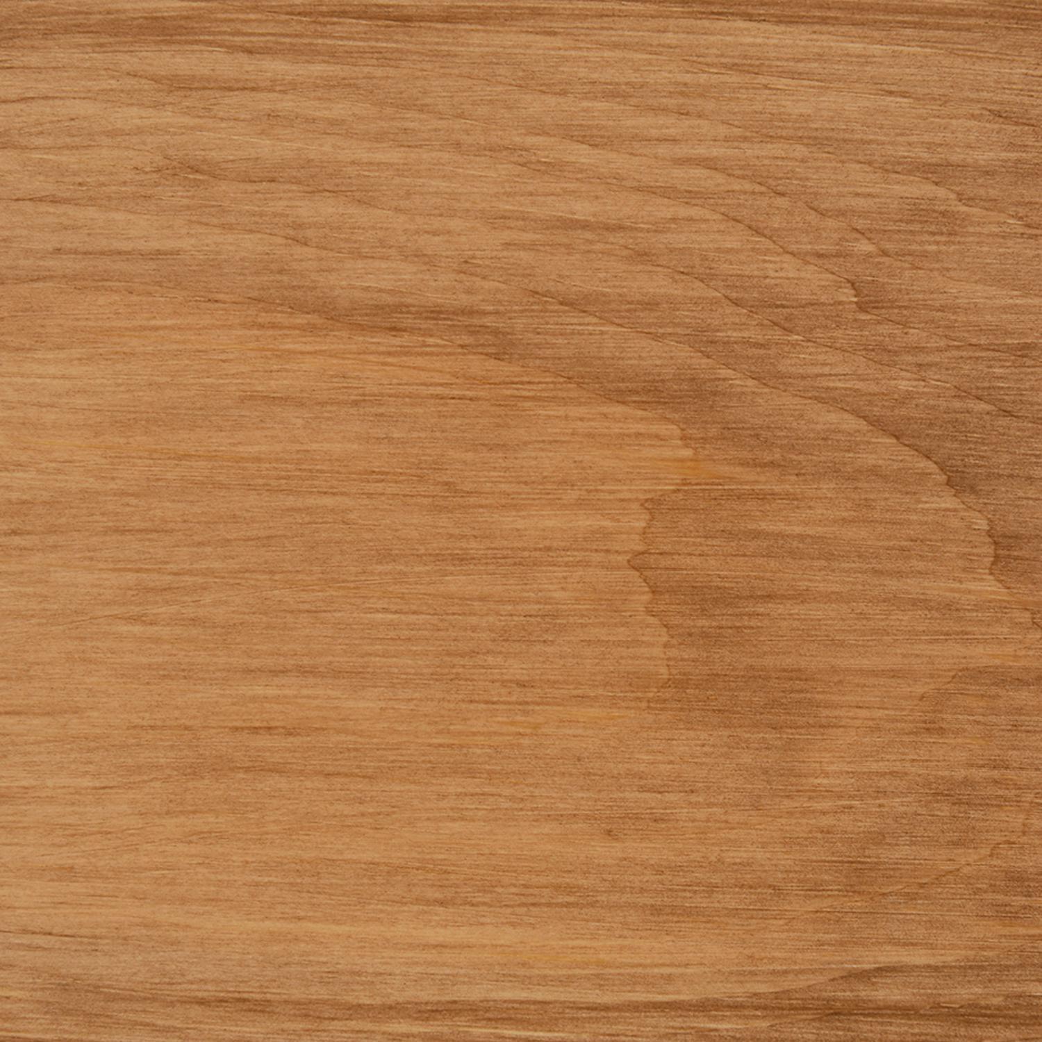 Thompson's WaterSeal Transparent Chestnut Brown Water-Based Acrylic/Alkyd/Urethane Waterproofing Woo
