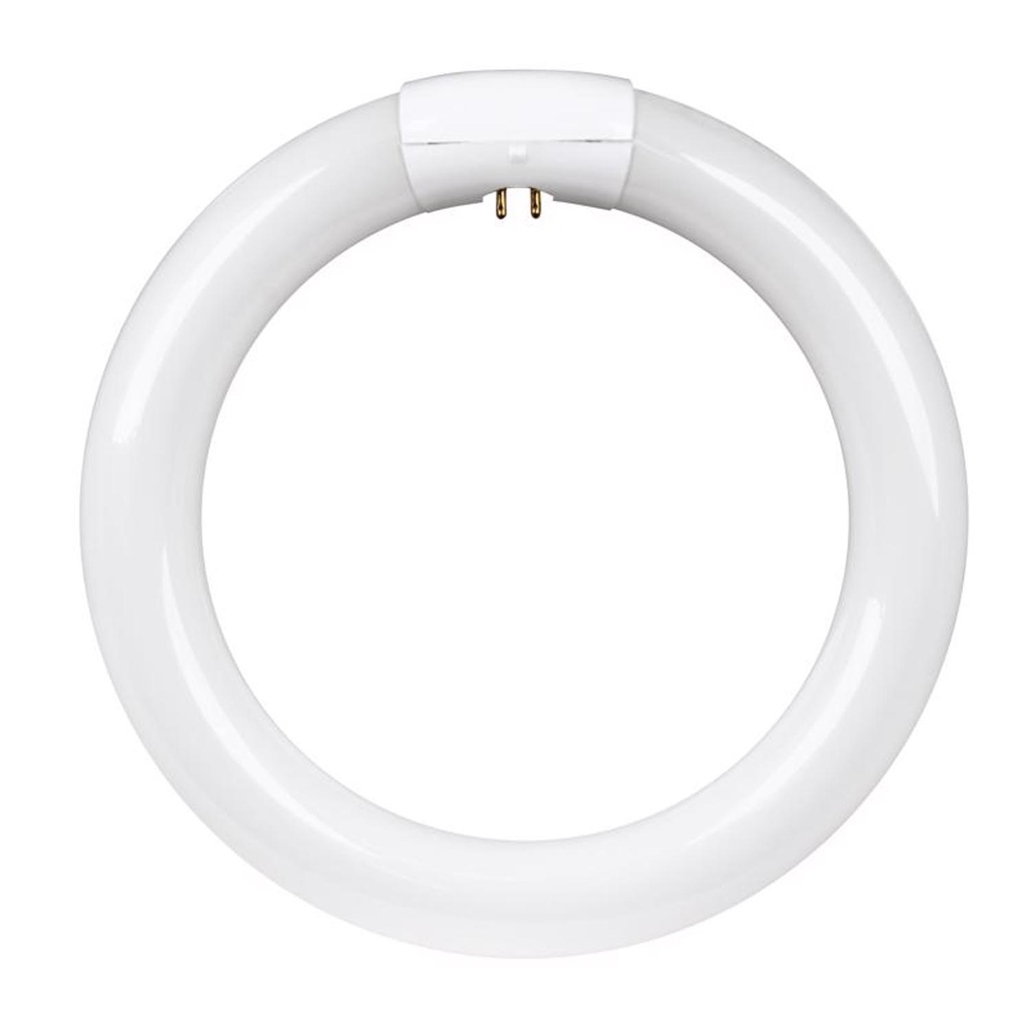 Feit Legacy Bulbs 22 W T9 8.3 in. D X 8.3 in. L Circline Fluorescent Bulb Cool White Circular 4100 K