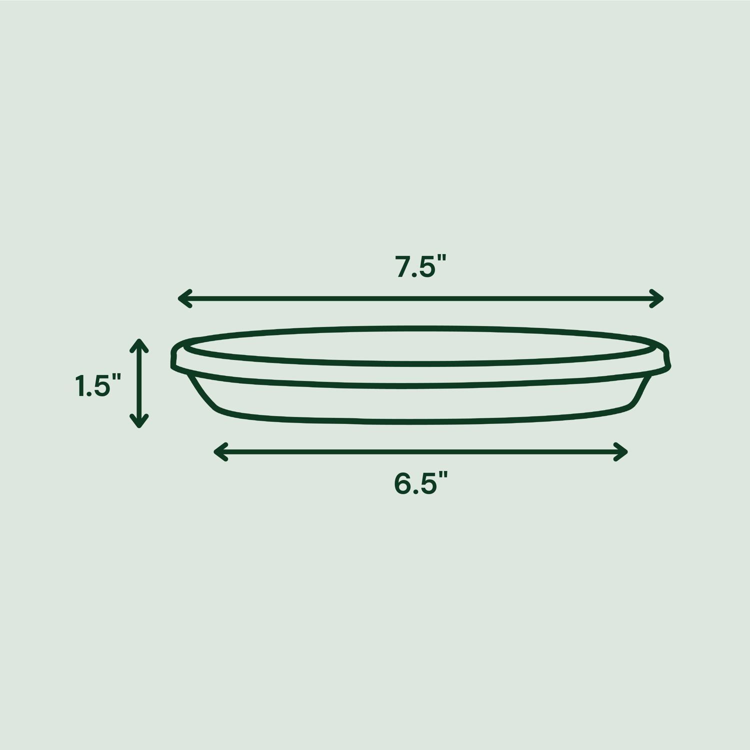 Bloem Terra 1.5 in. H X 7.5 in. W X 6.5 in. D Resin Traditional Plant Saucer Living Green