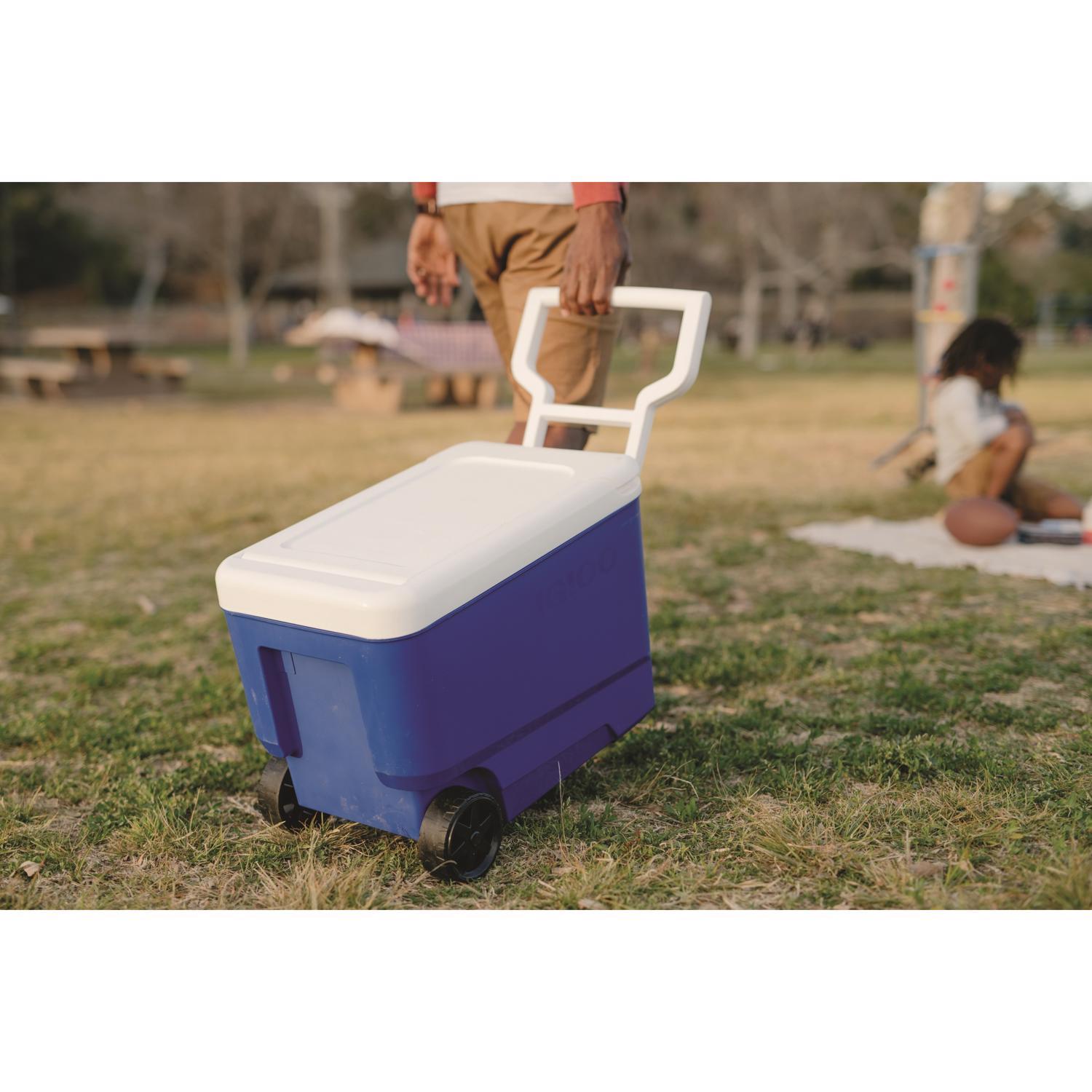 Igloo Wheelie Cool Blue 38 qt Roller Cooler