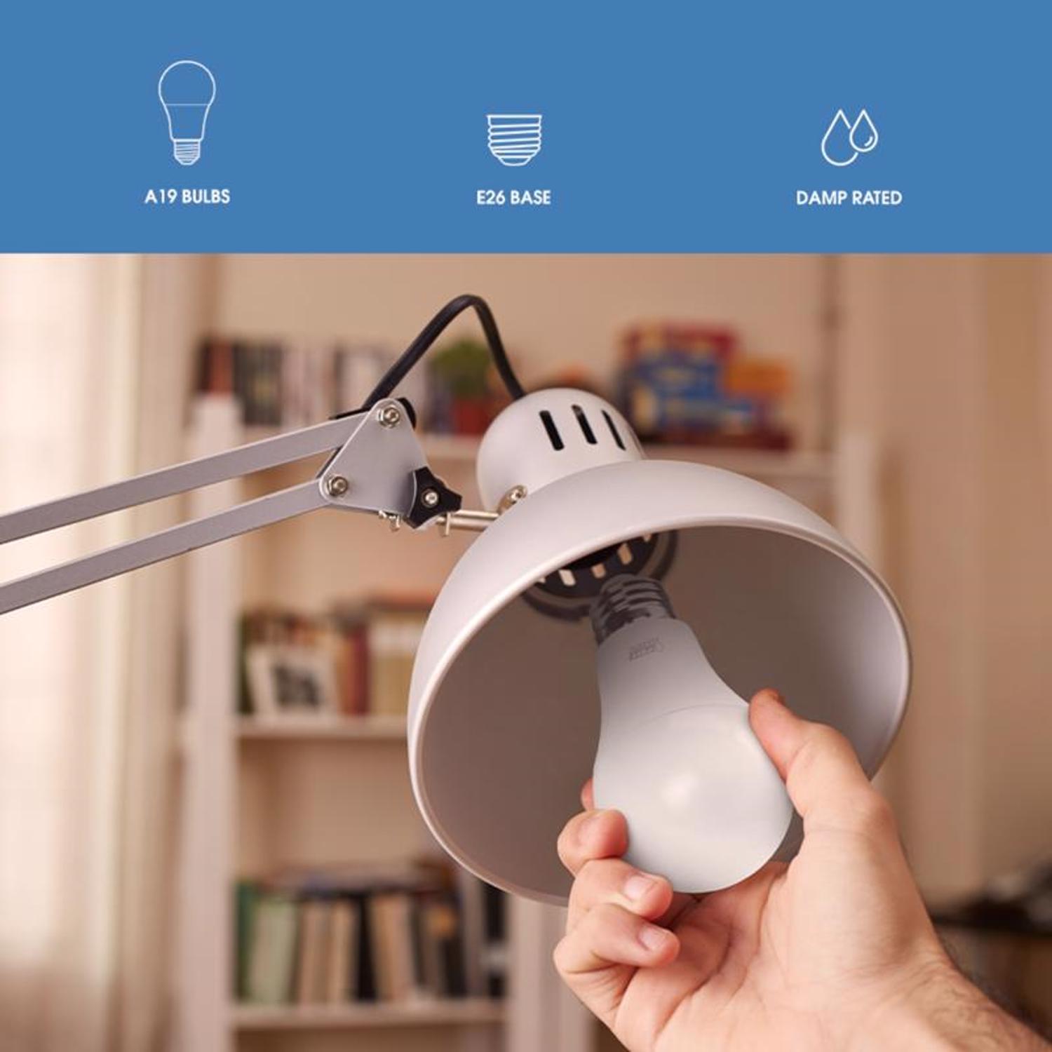 Feit Enhance A19 E26 (Medium) LED Bulb Daylight 60 Watt Equivalence 10 pk