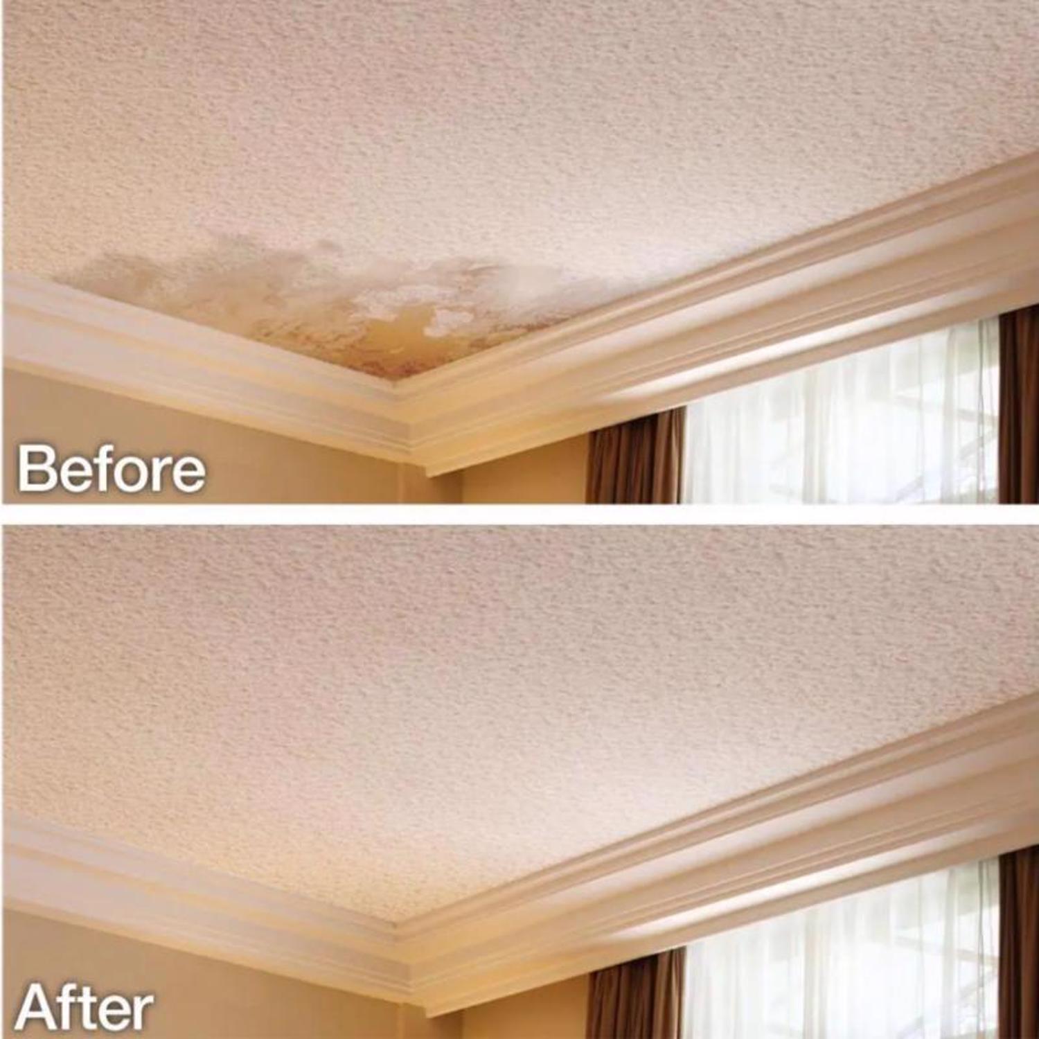 Homax Pro Match White Water-Based Wall and Ceiling Texture Paint 16 oz