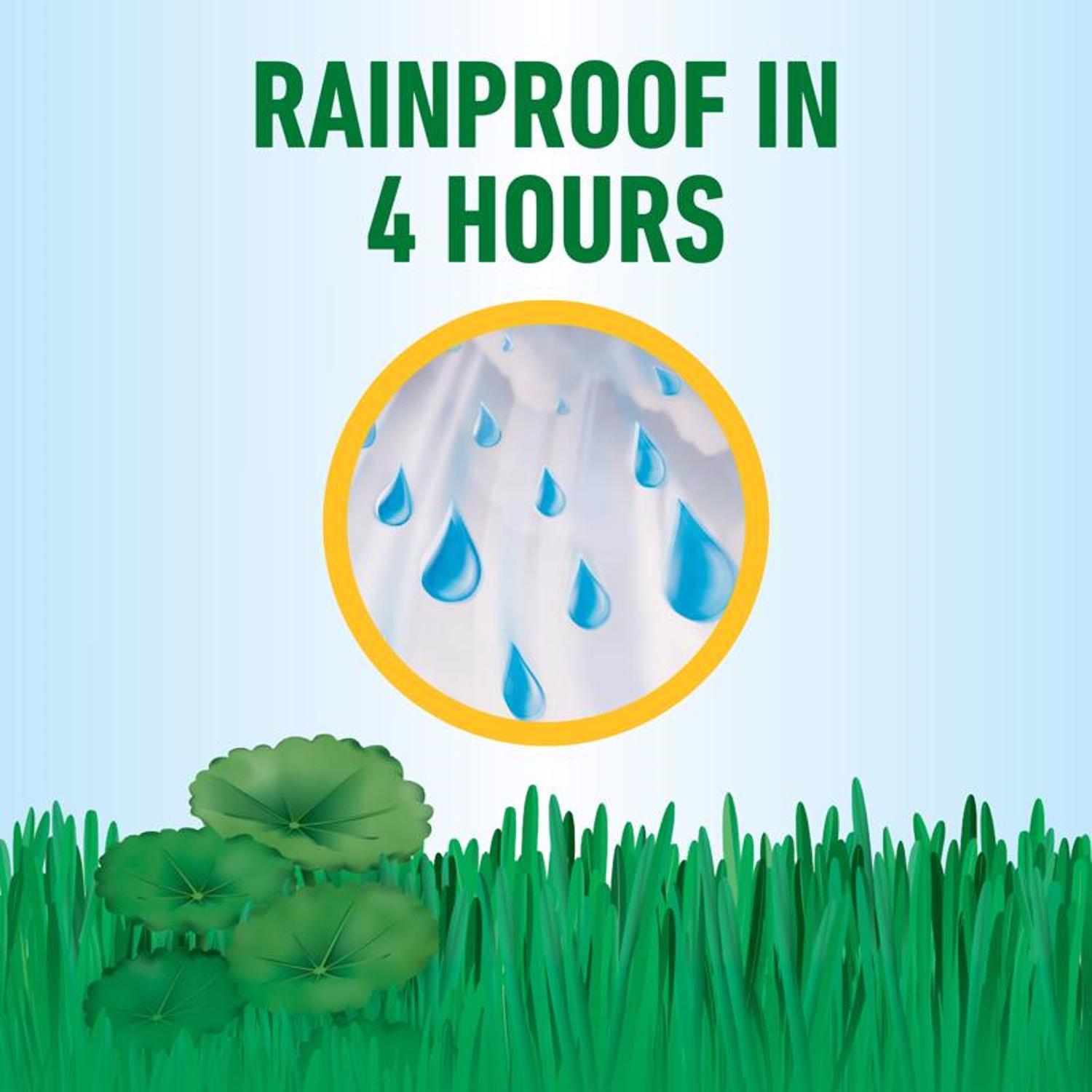 Roundup Weed Killer RTU Liquid 1 gal
