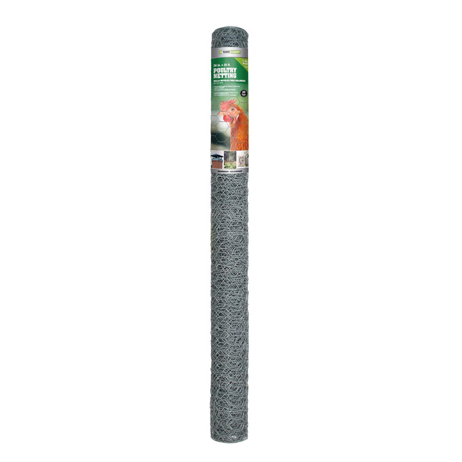 Garden Craft 36 in. H X 25 ft. L Galvanized Steel Poultry Netting 1 in.