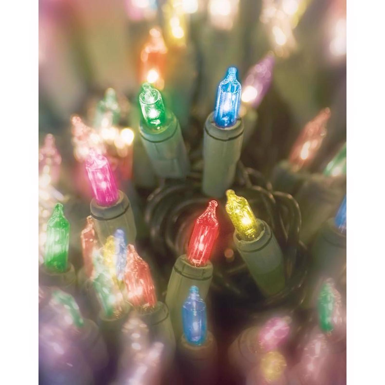 Celebrations Red Incandescent Mini Multicolored 300 ct String Christmas Lights 62 ft.