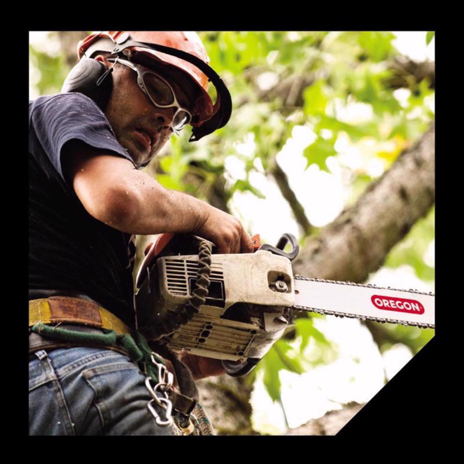 Oregon AdvanceCut S62 18 in. Chainsaw Chain 62 links