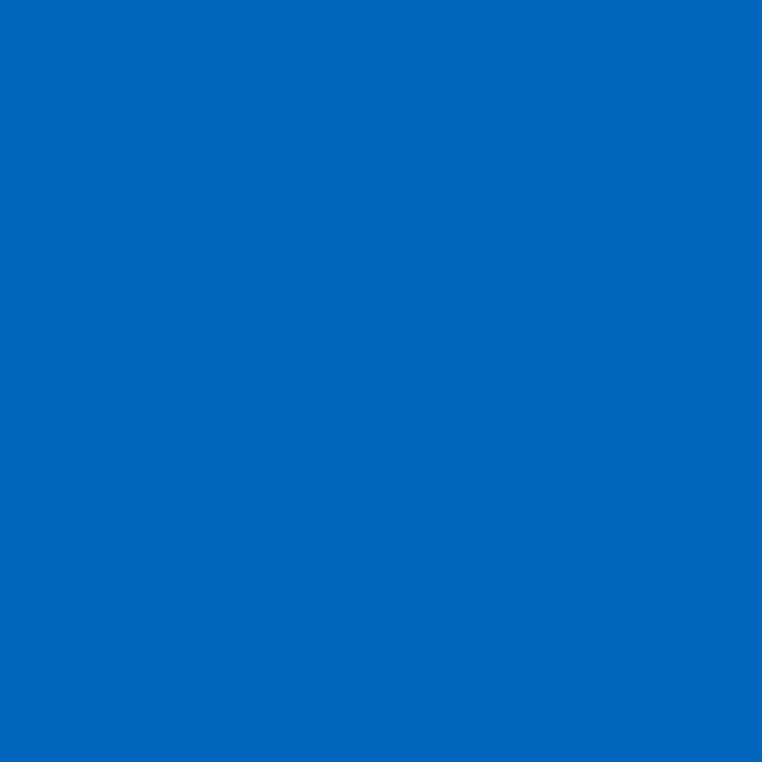 Rust-Oleum Automotive Smooth Ford Blue Engine Enamel Spray 12 oz