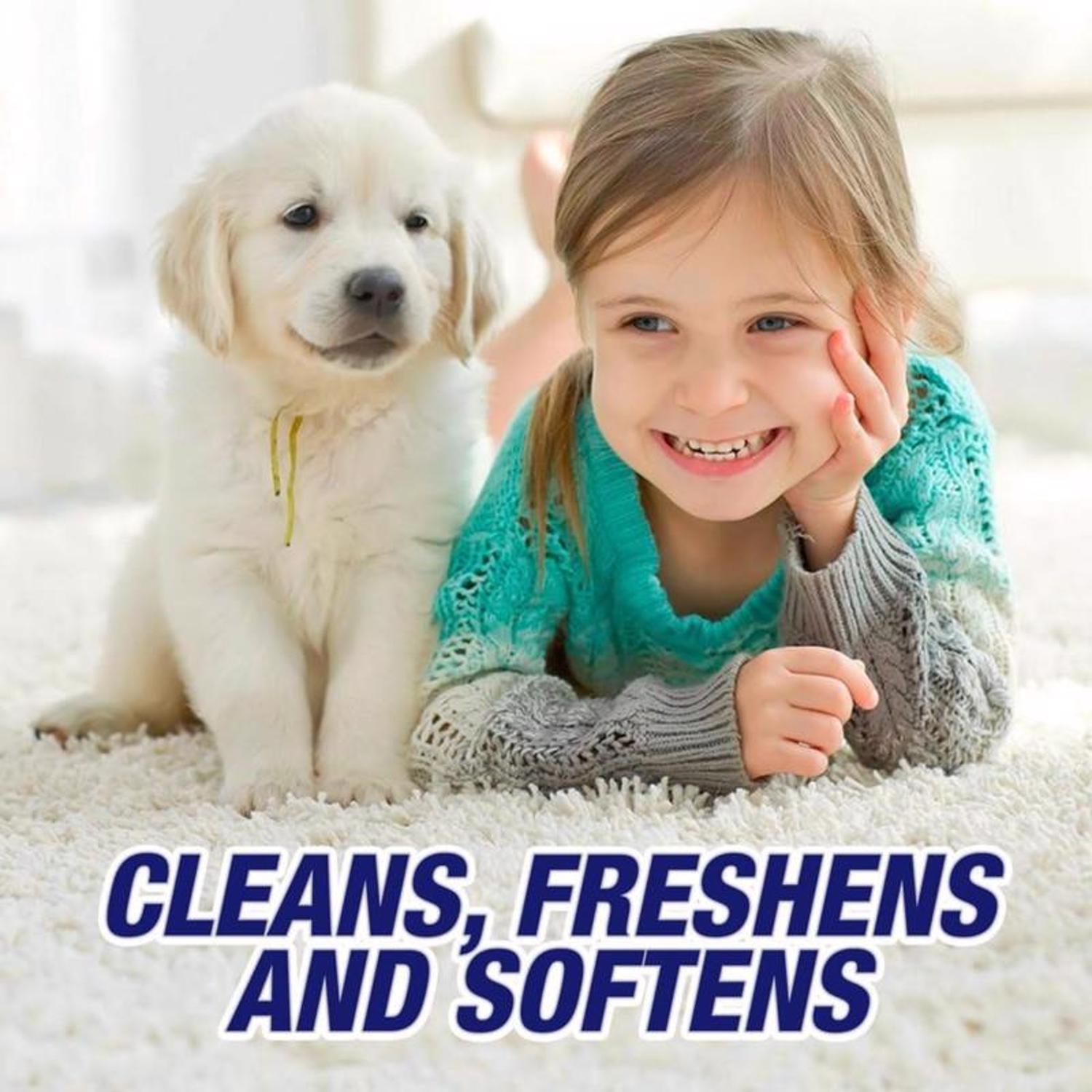 Resolve FOAM RESOLVE Carpet Cleaner 22 oz Foam