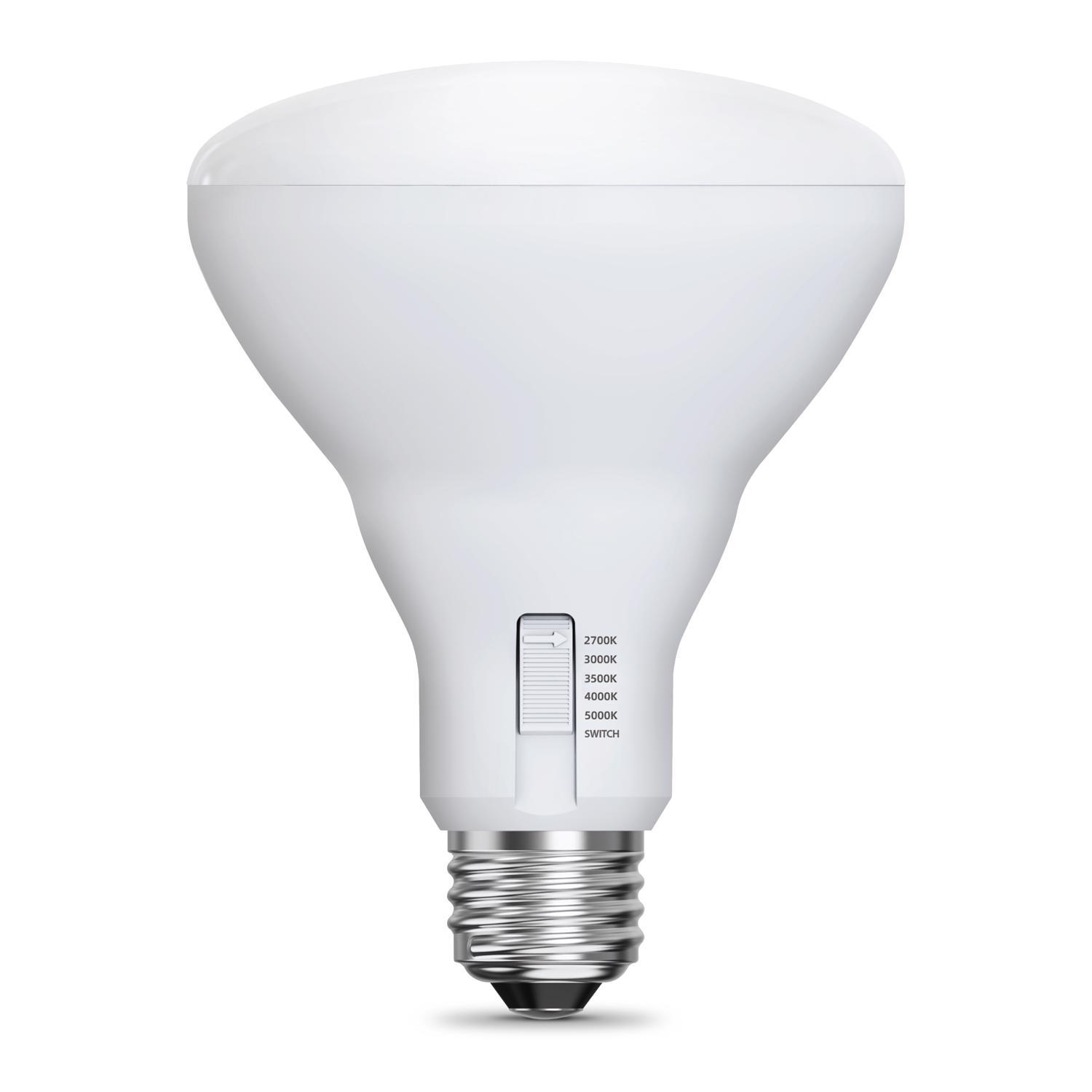 Feit BR30 E26 (Medium) LED Bulb Adjustable White 65 Watt Equivalence 1 Pack