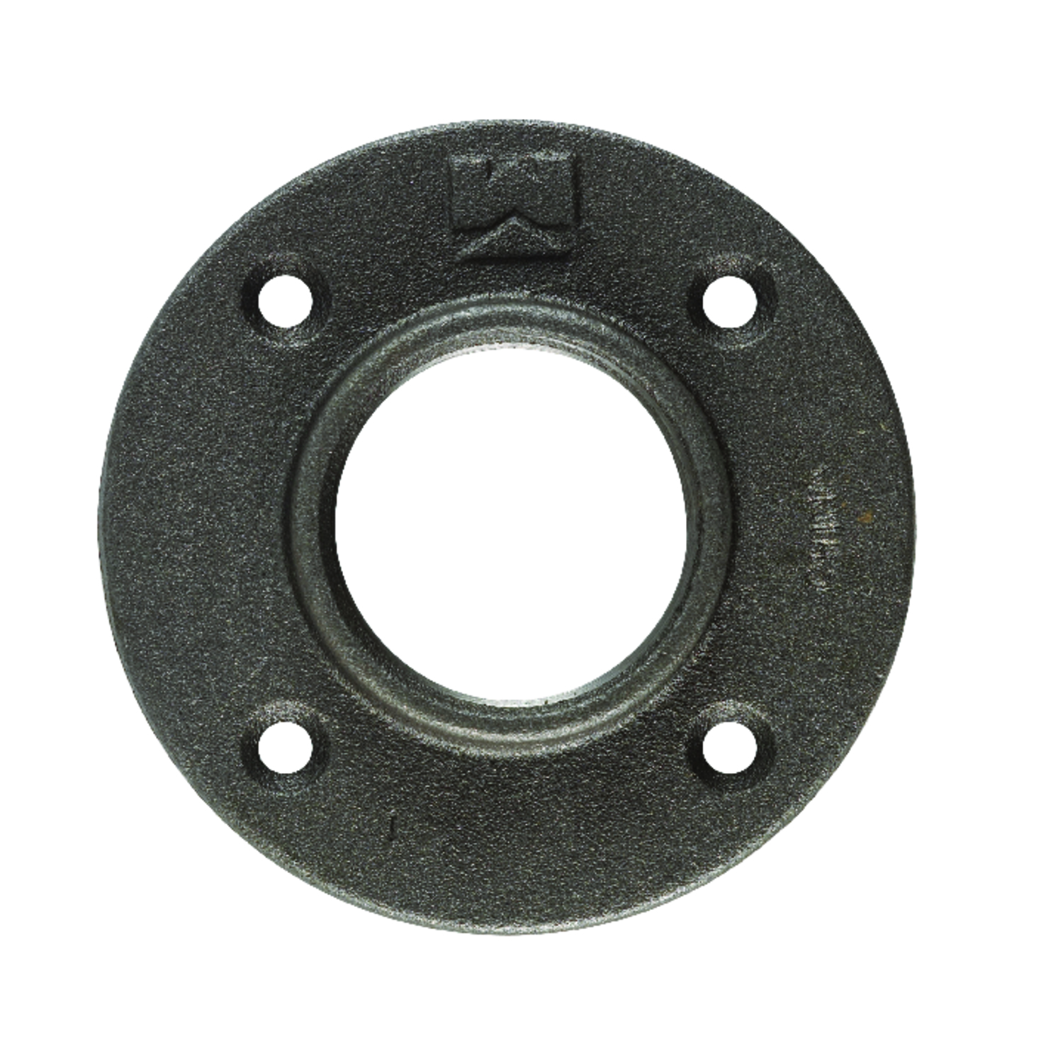 STZ Industries 1 in. FIP each Black Malleable Iron Floor Flange