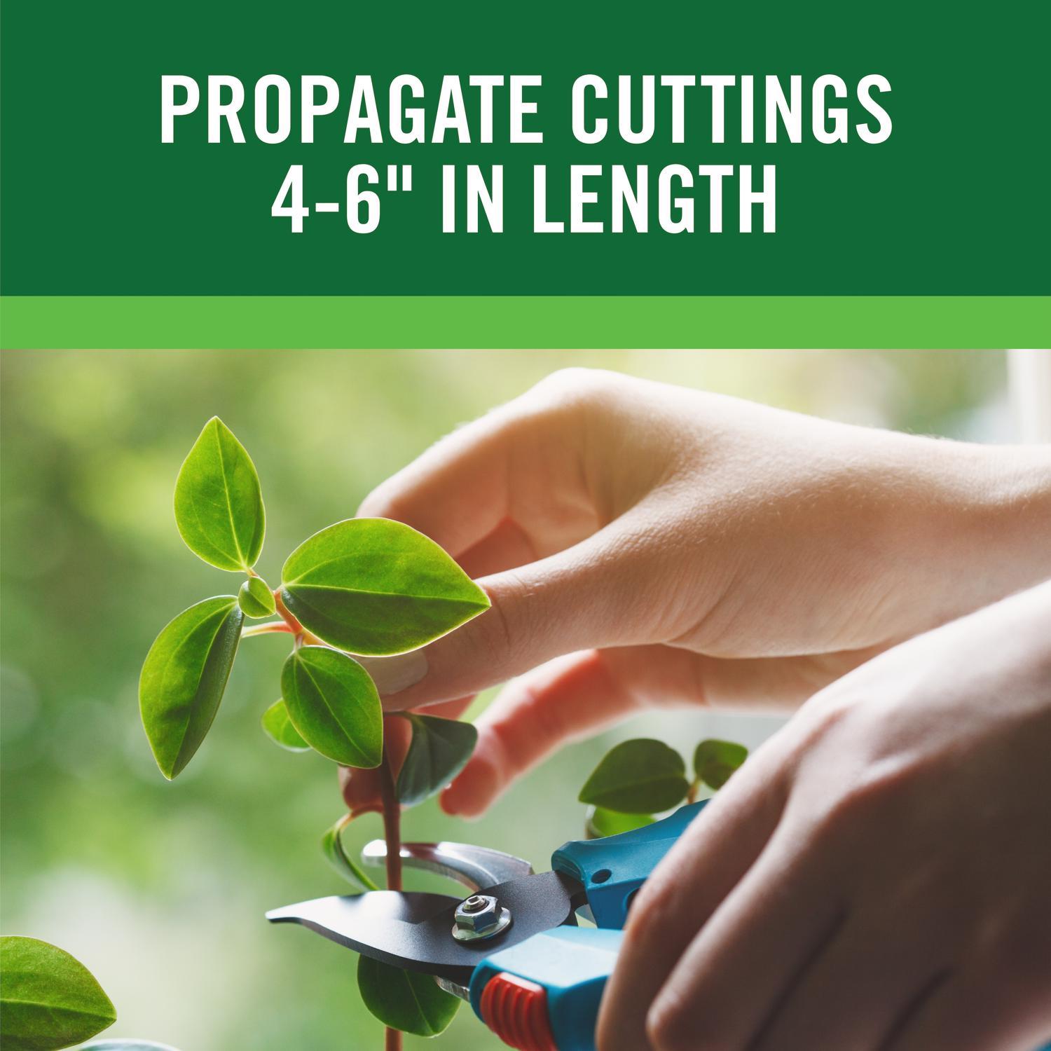 GardenTech RootBoost Powder Rooting Hormone 2 oz