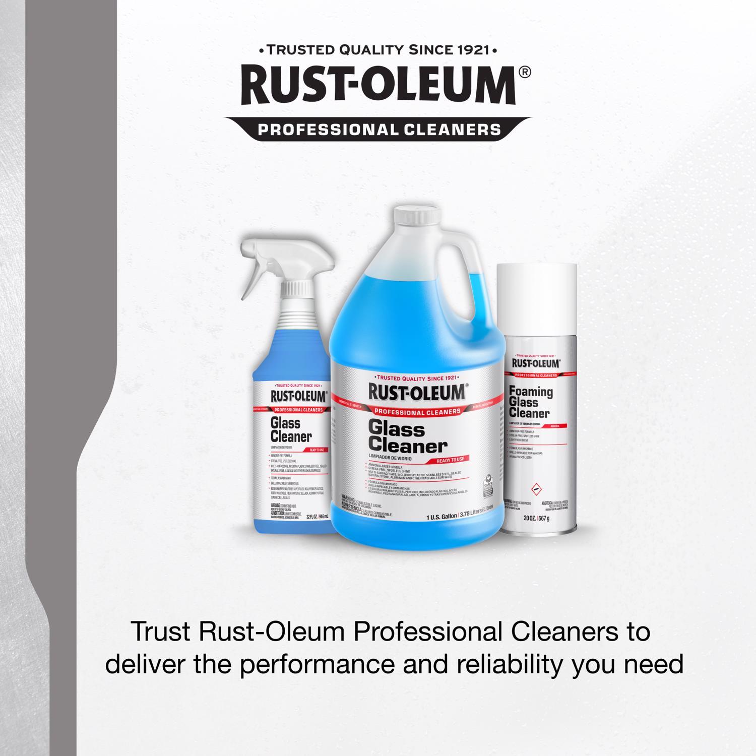 Rust-Oleum Professional Cleaners No Scent Glass Cleaner 20 oz Foam