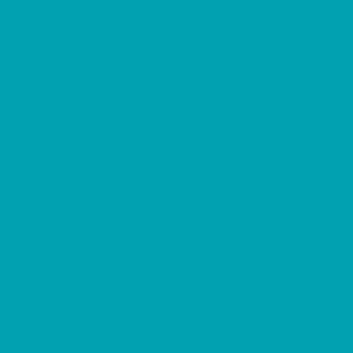 Duck 1.88 in. W X 20 yd L Aqua Solid Duct Tape