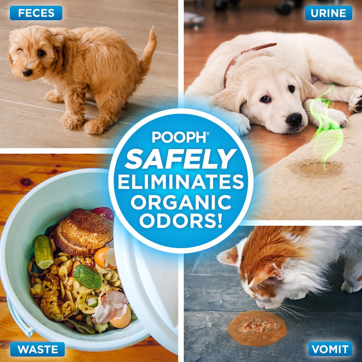 Pooph Pets Liquid Odor & Stain Eliminator 20 oz