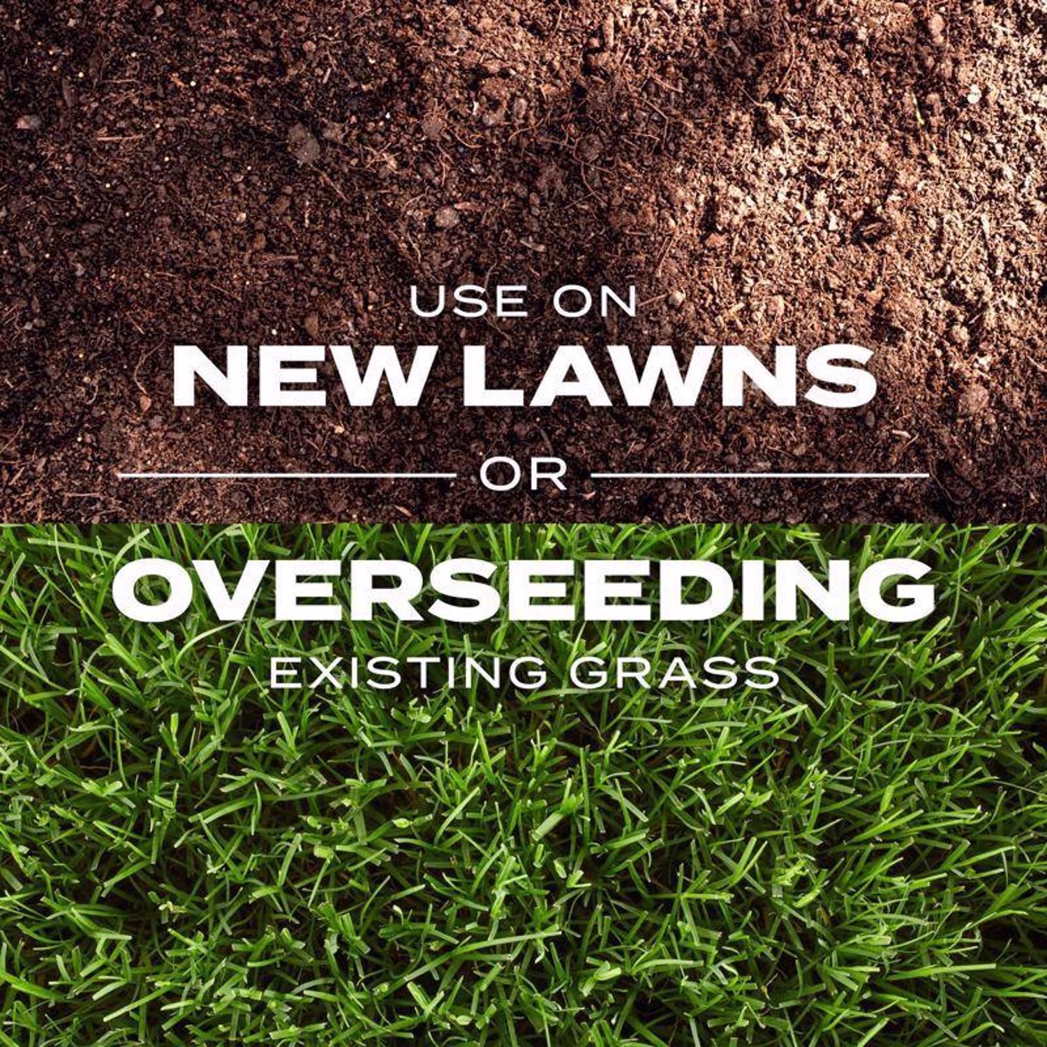 Scotts Turf Builder Rapid Grass Bermuda Grass Sun or Shade Grass Seed and Fertilizer 4 lb