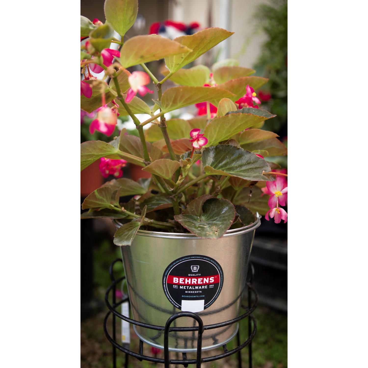 Behrens 5 qt Pail Gray