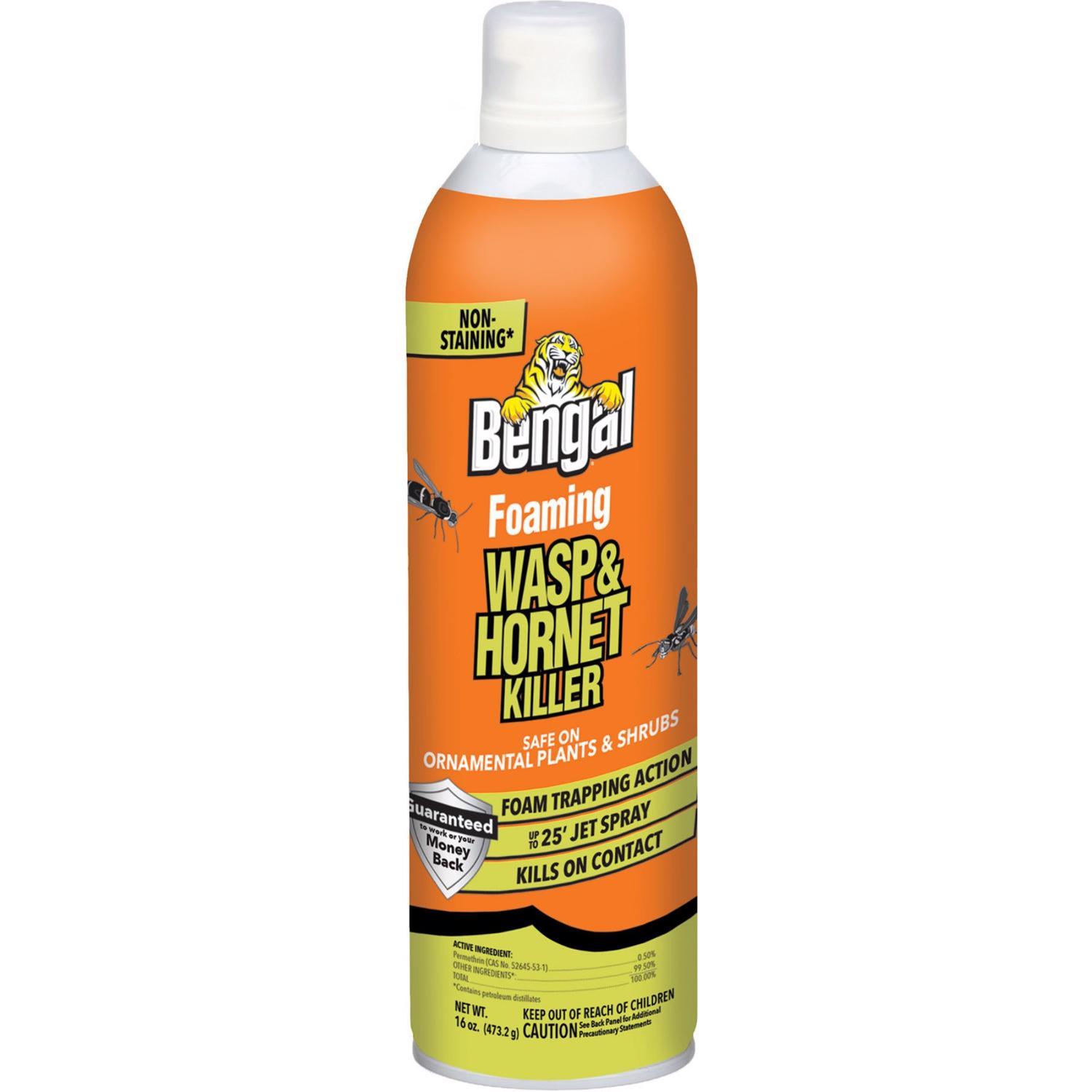 Bengal Foaming Insect Killer Foam 16 oz