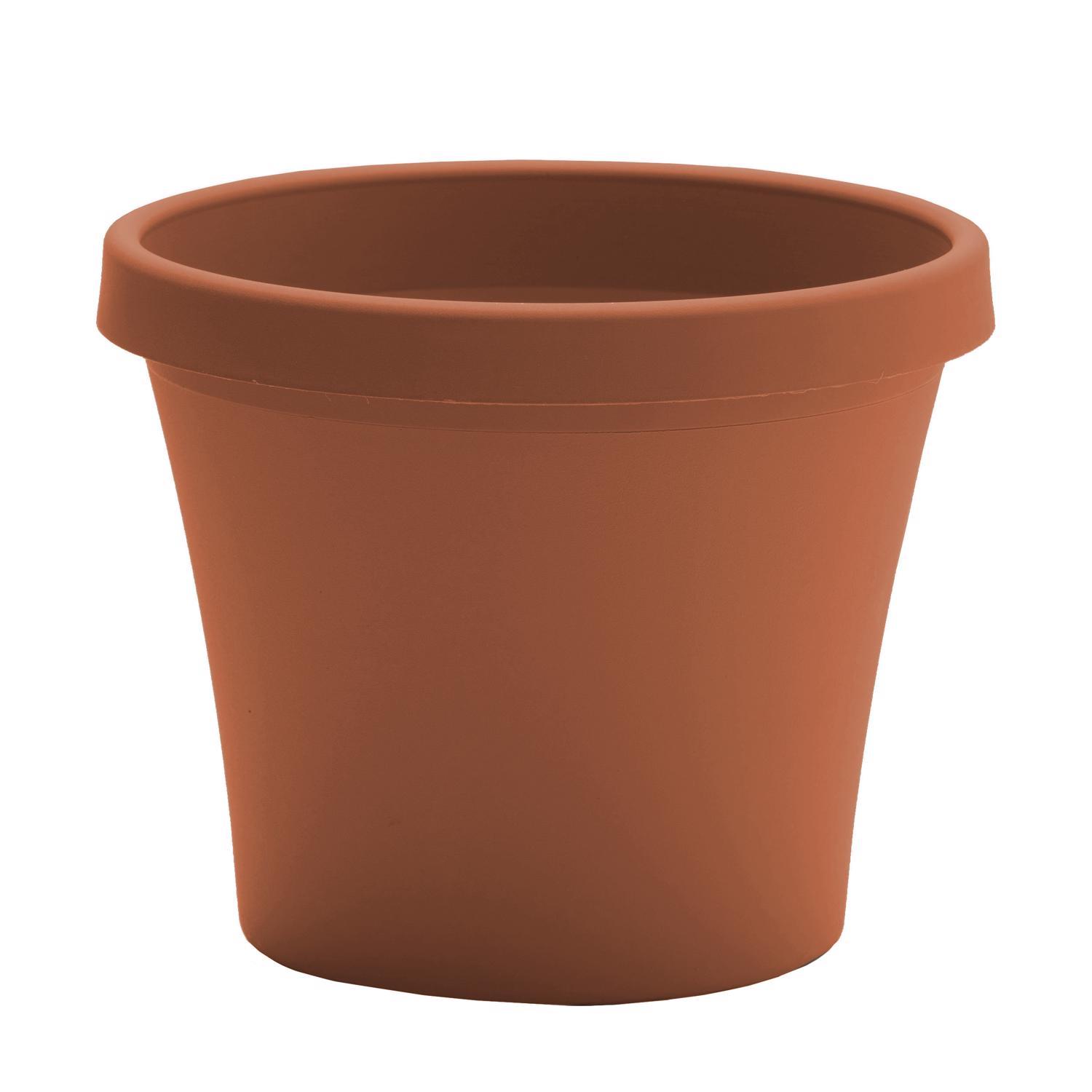 Bloem Terra 10.75 in. H X 9 in. W X 13 in. D Resin Traditional Planter Terra Cotta