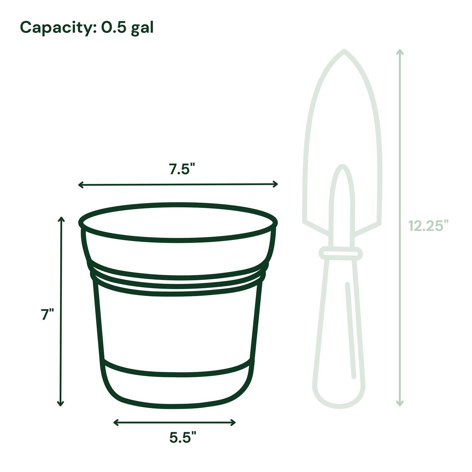 Bloem Saturn 6.5 in. H X 7.25 in. W Plastic Traditional Planter Black