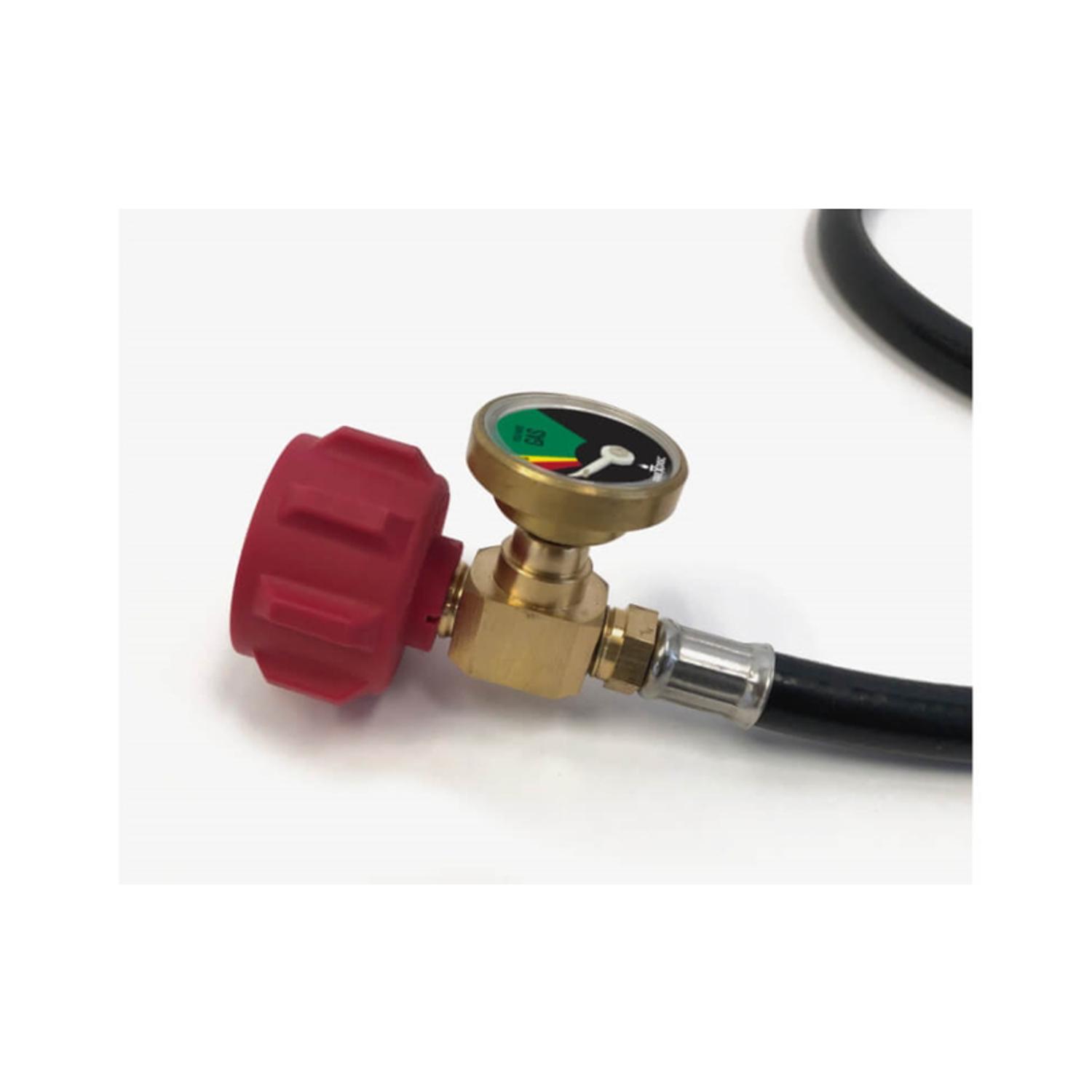 FireDisc 4 ft. L Propane Hose and Regulator
