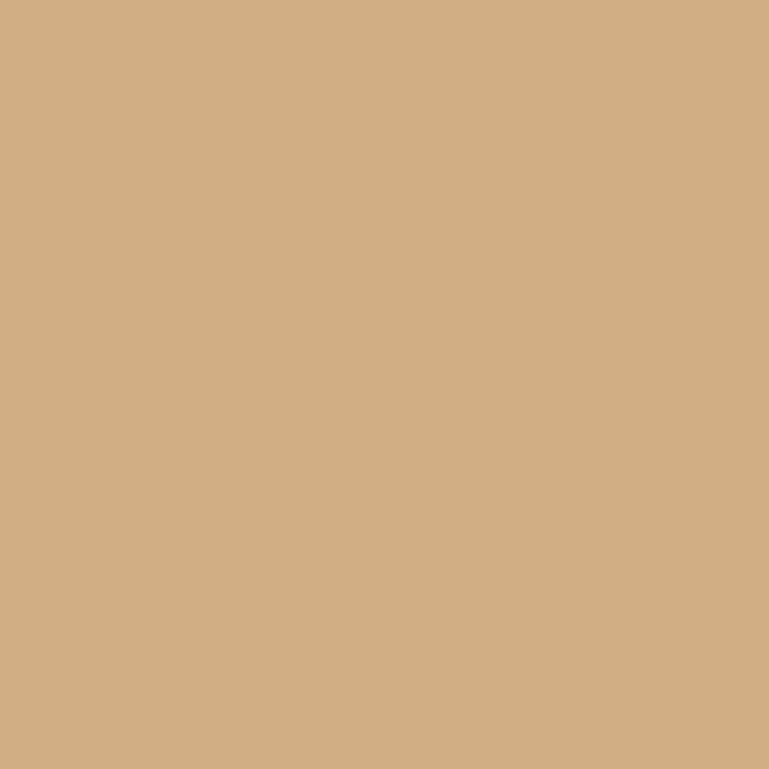 YETI Roadie 24 Desert Tan 22 qt Hard Cooler