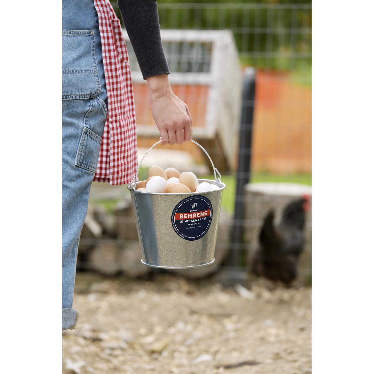Behrens 5 qt Galvanized Pail Silver