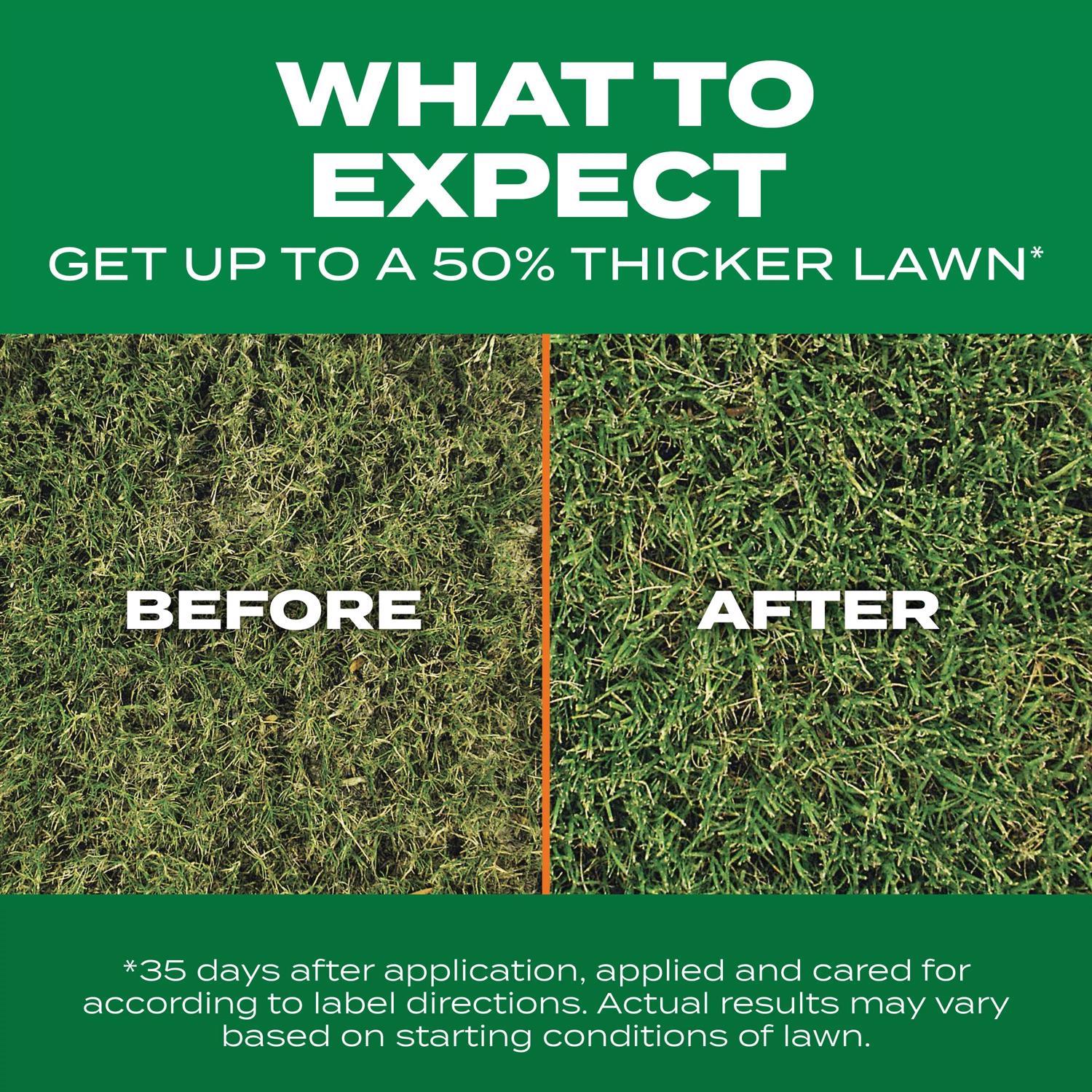 Scotts Turf Builder ThickR Bermuda Grass Sun or Shade Grass Seed and Fertilizer 12 lb