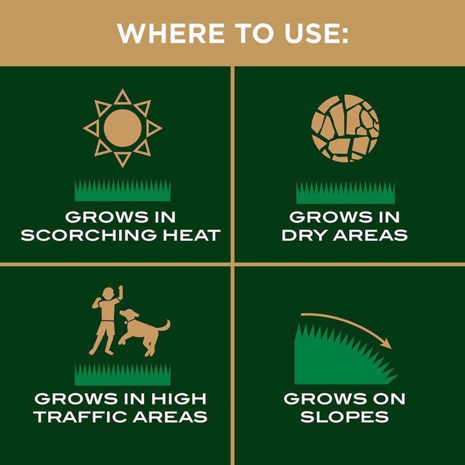 Scotts EZ Seed Bermuda Grass Full Sun Grass Spot Repair Seed 10 lb
