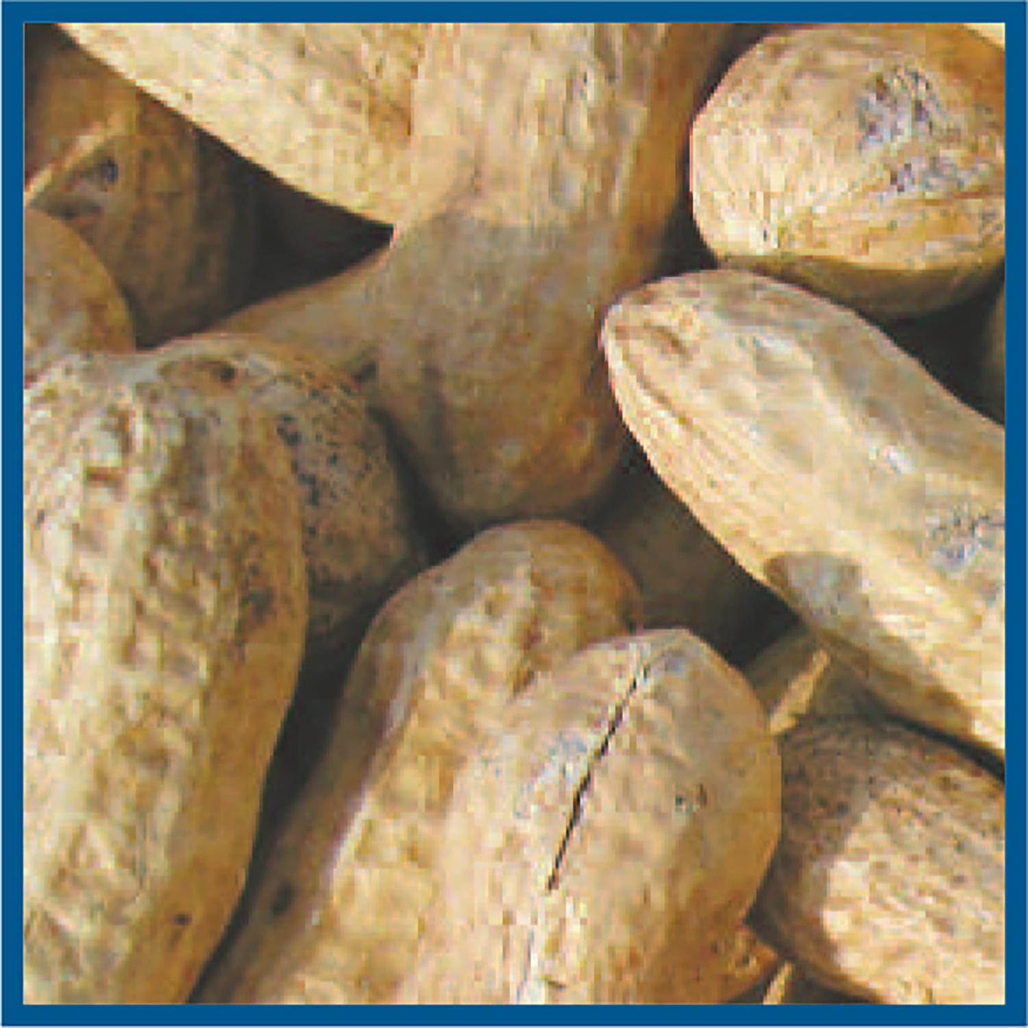 Cole's Wild Bird Food 2.5 lb