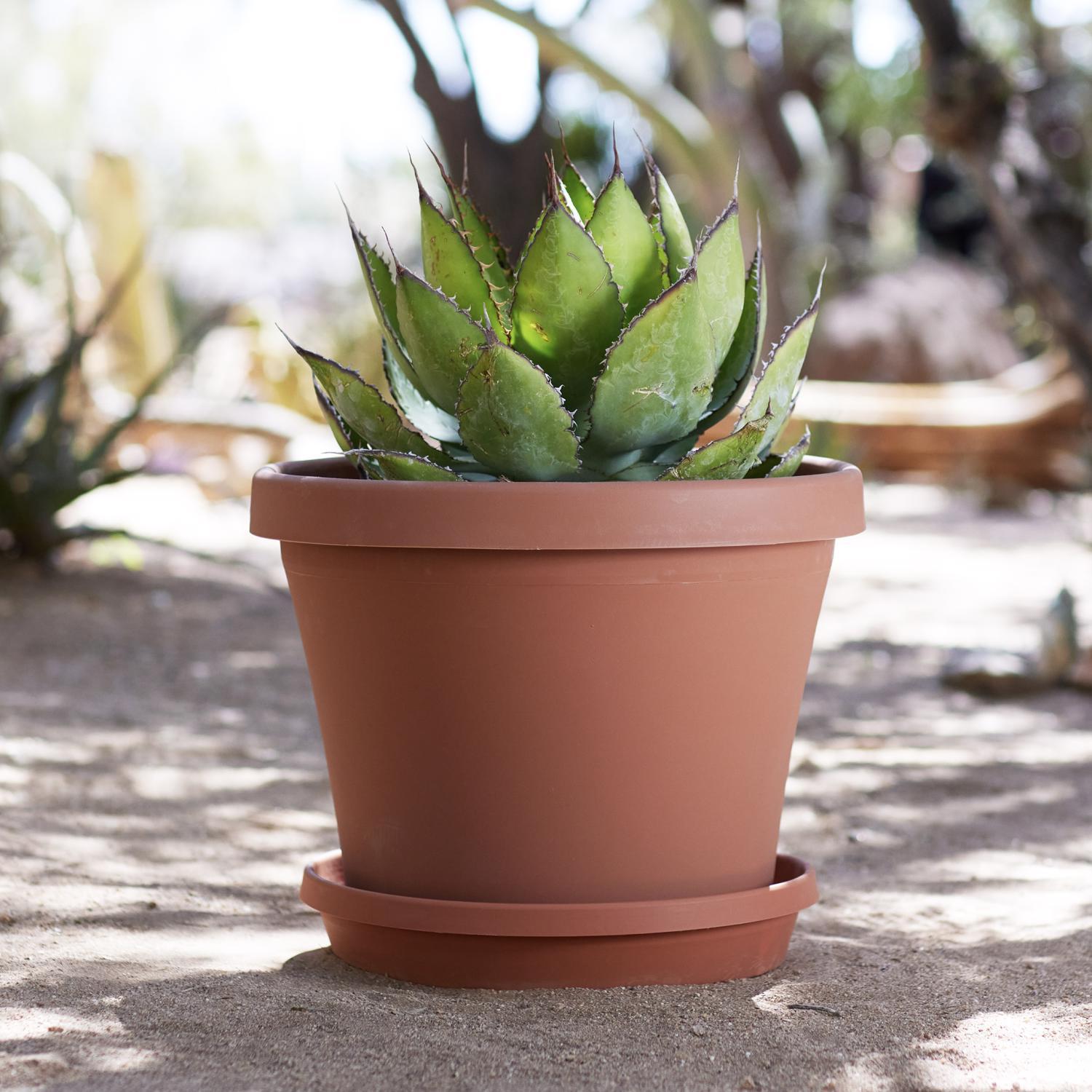 Bloem Terra 14.25 in. H X 11.25 in. W X 17.25 in. D Resin Traditional Planter Terra Cotta