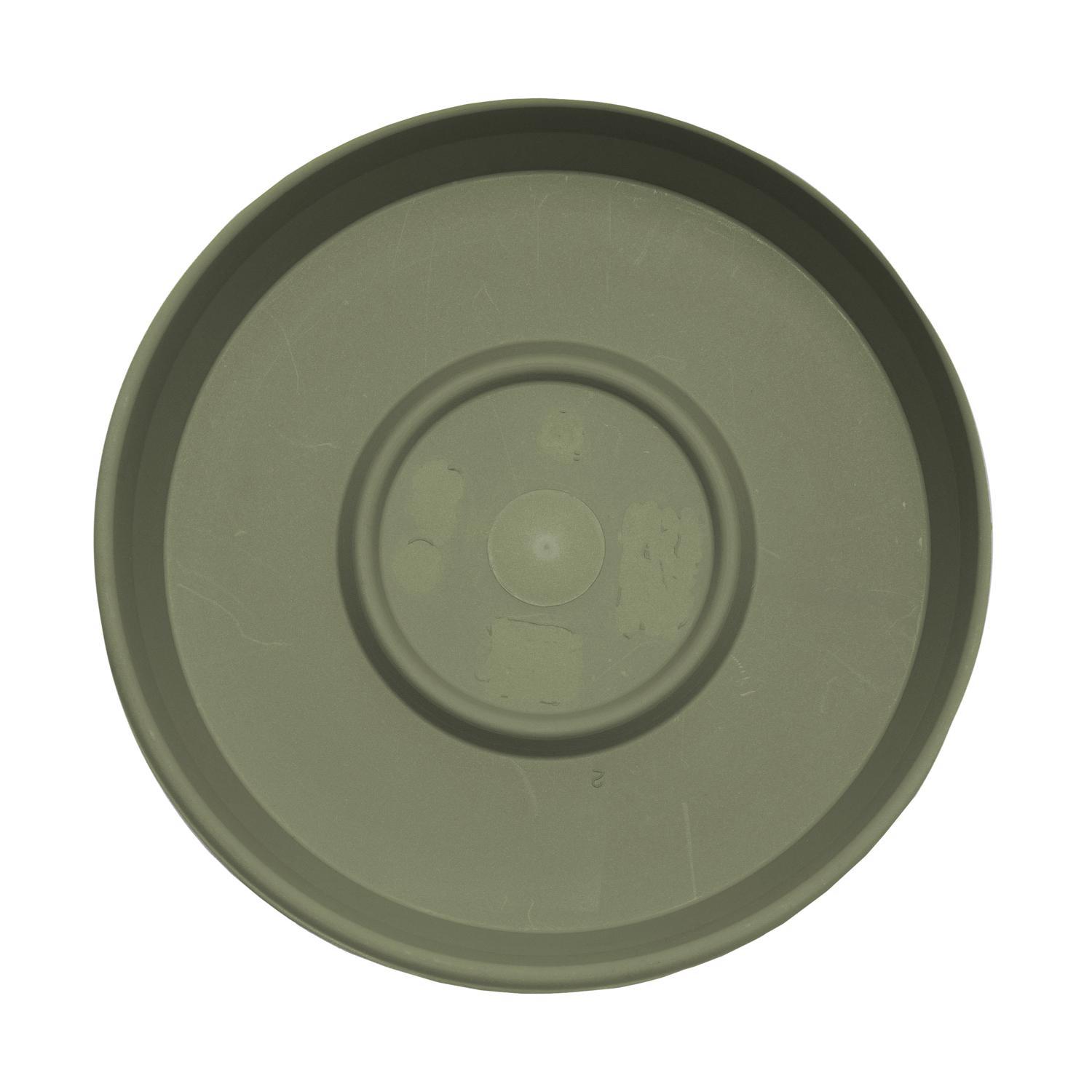 Bloem Terra 1.5 in. H X 7.5 in. W X 6.5 in. D Resin Traditional Plant Saucer Living Green