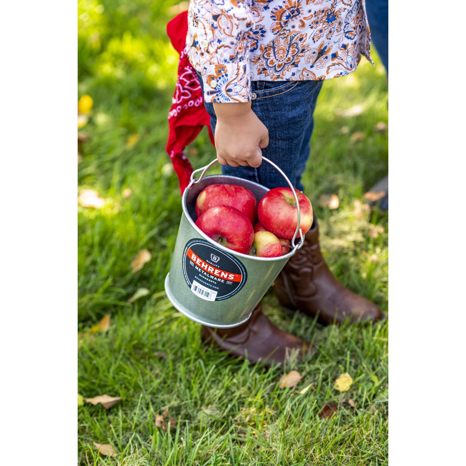 Behrens 5 qt Pail Gray