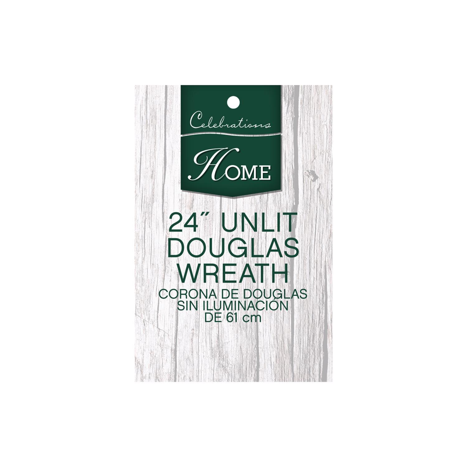 Holiday Bright Lights 24 in. D X 2 ft. L Douglas Wreath