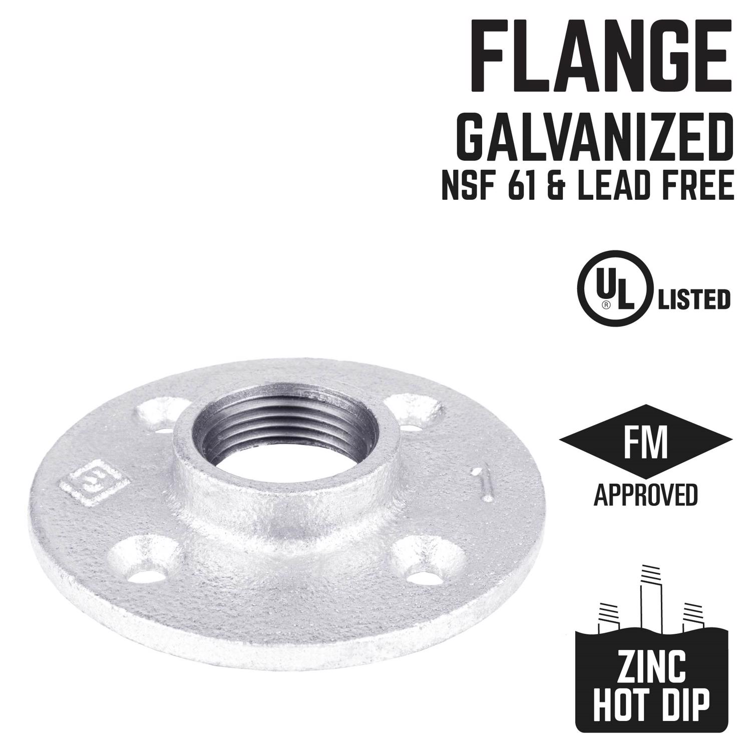 STZ Industries 1 in. FIP each Galvanized Malleable Iron Floor Flange
