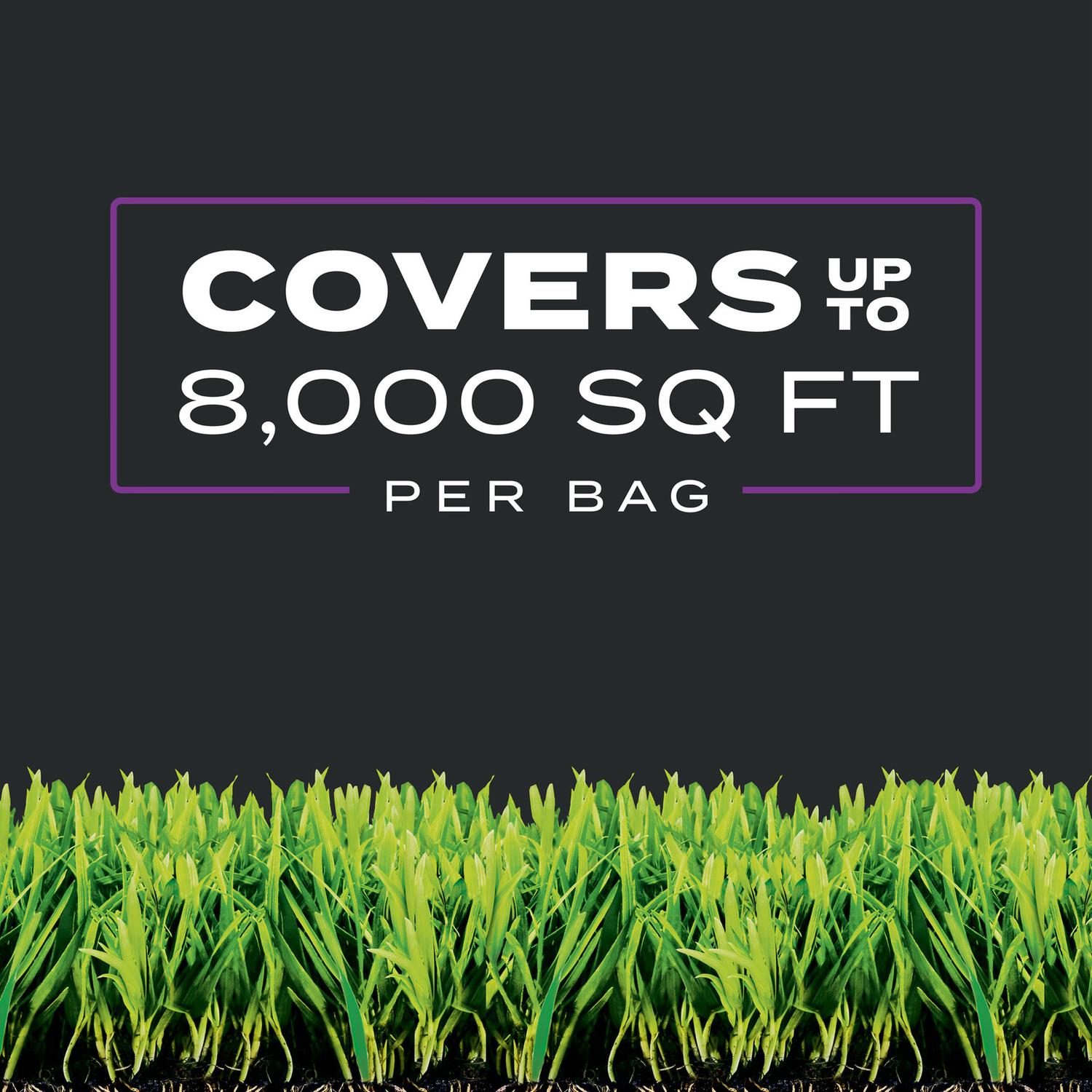 Scotts Turf Builder Southern Triple Action Weed & Feed Lawn Fertilizer For All Grasses 8000 sq ft