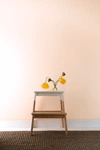 Benjamin Moore Ben Semi-Gloss White Paint and Primer Interior 1 qt