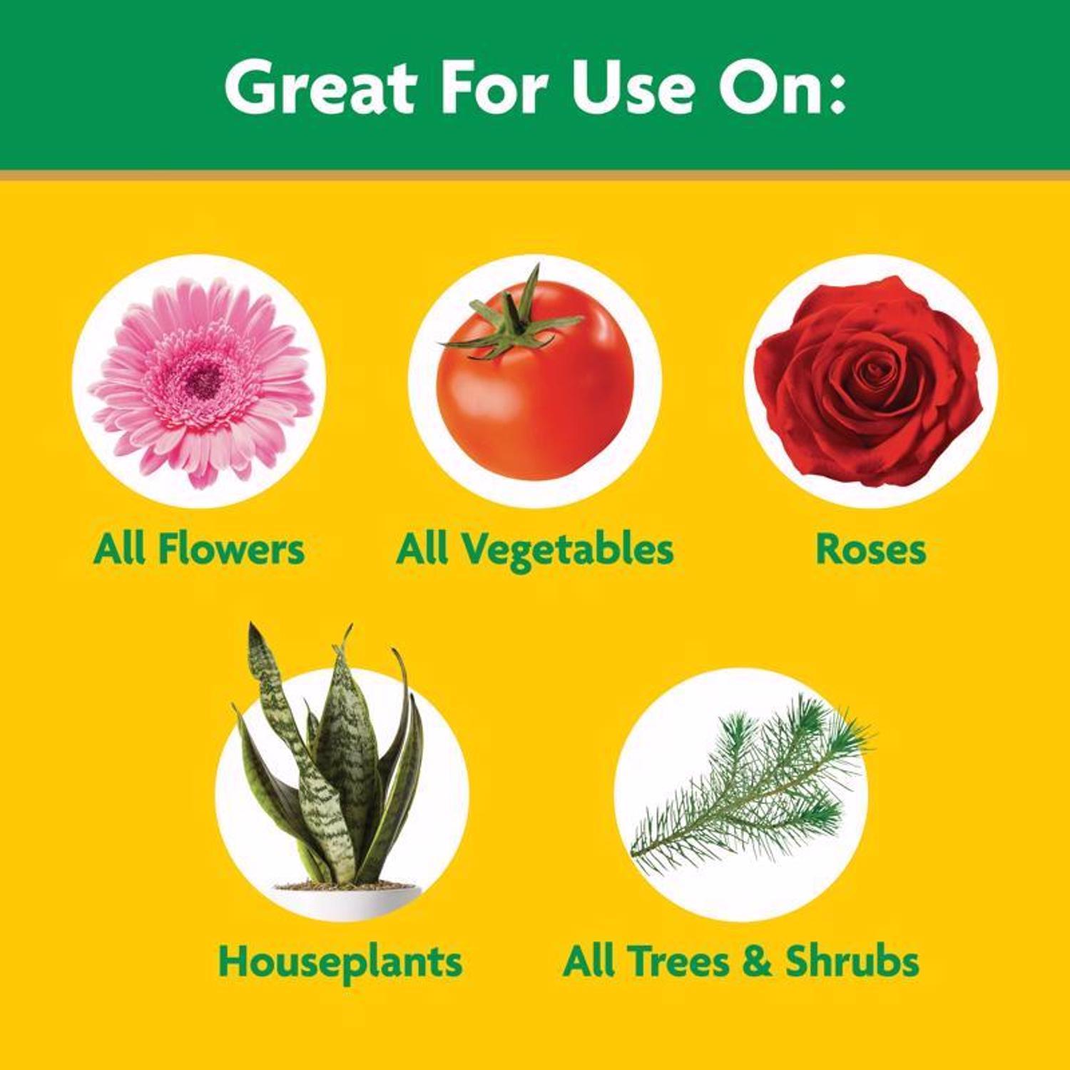 Miracle-Gro Granules Plant Food 10 lb