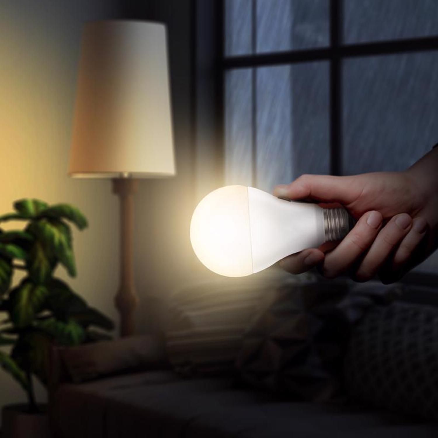 Feit A21 E26 (Medium) LED Bulb Soft White 60 Watt Equivalence 1 pk