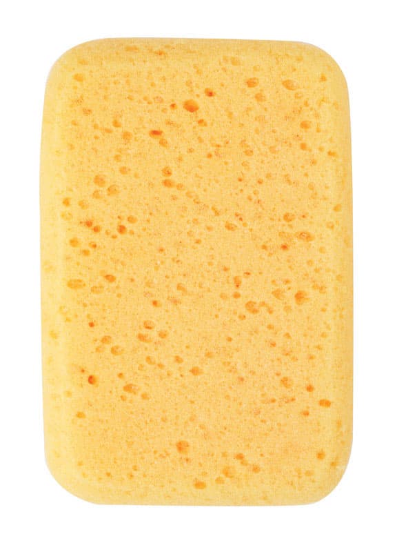 Ace Medium Duty Antibacterial Sponge For All Purpose 7 in. L 1 pc