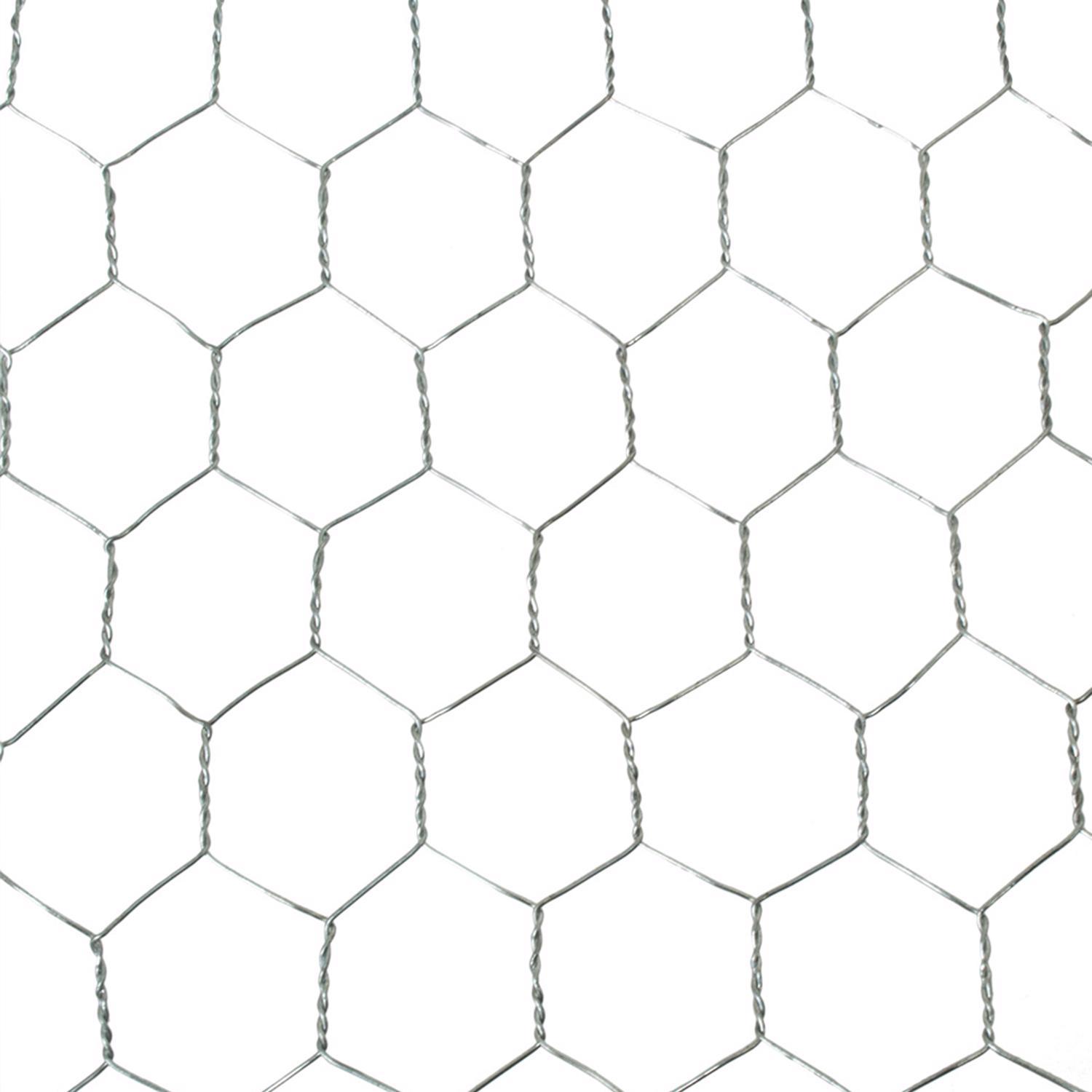 Garden Craft 36 in. H X 25 ft. L Galvanized Steel Poultry Netting 1 in.