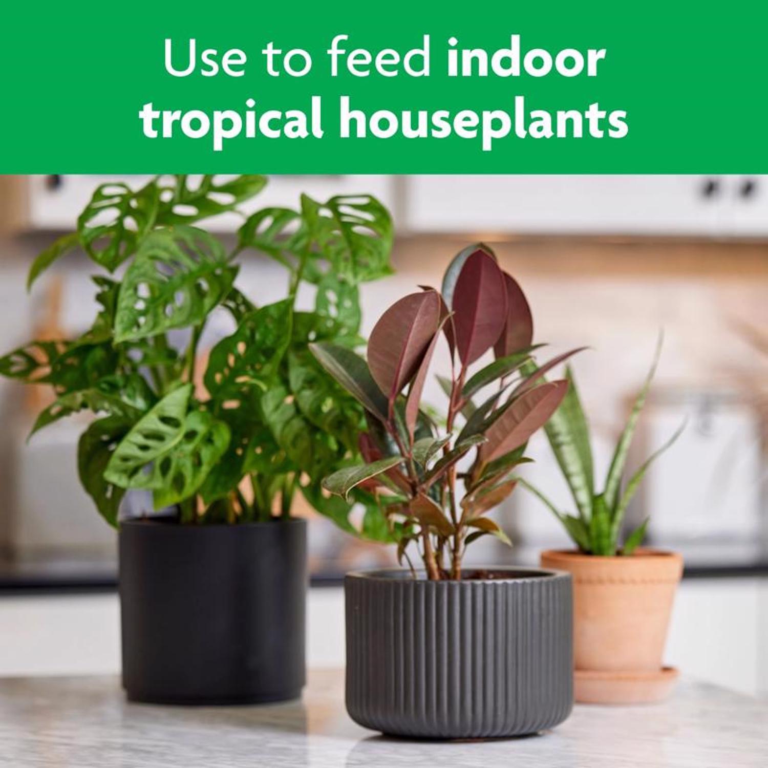 Miracle-Gro Tropical Liquid Plant Food 8 oz