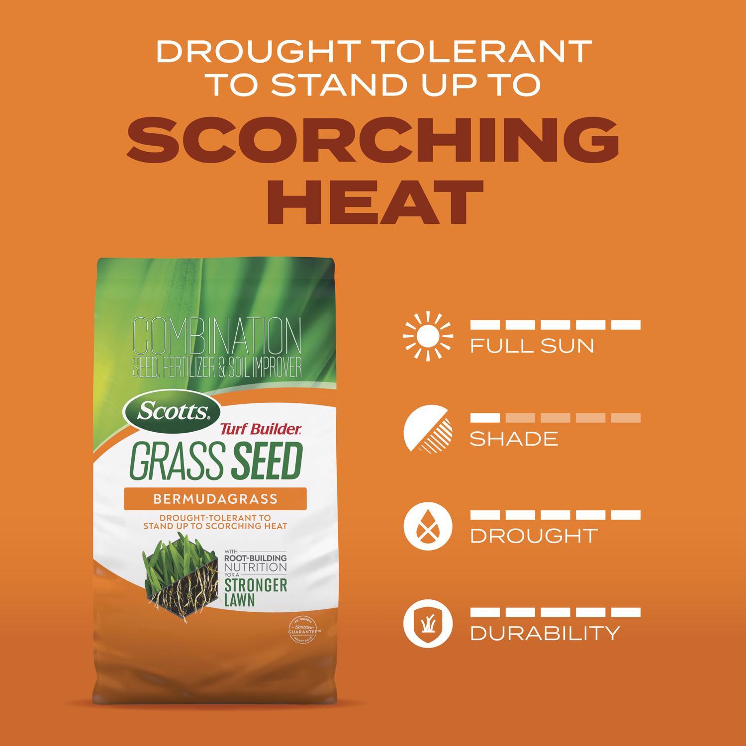 Scotts Turf Builder Bermuda Grass Full Sun Fertilizer/Seed/Soil Improver 4 lb